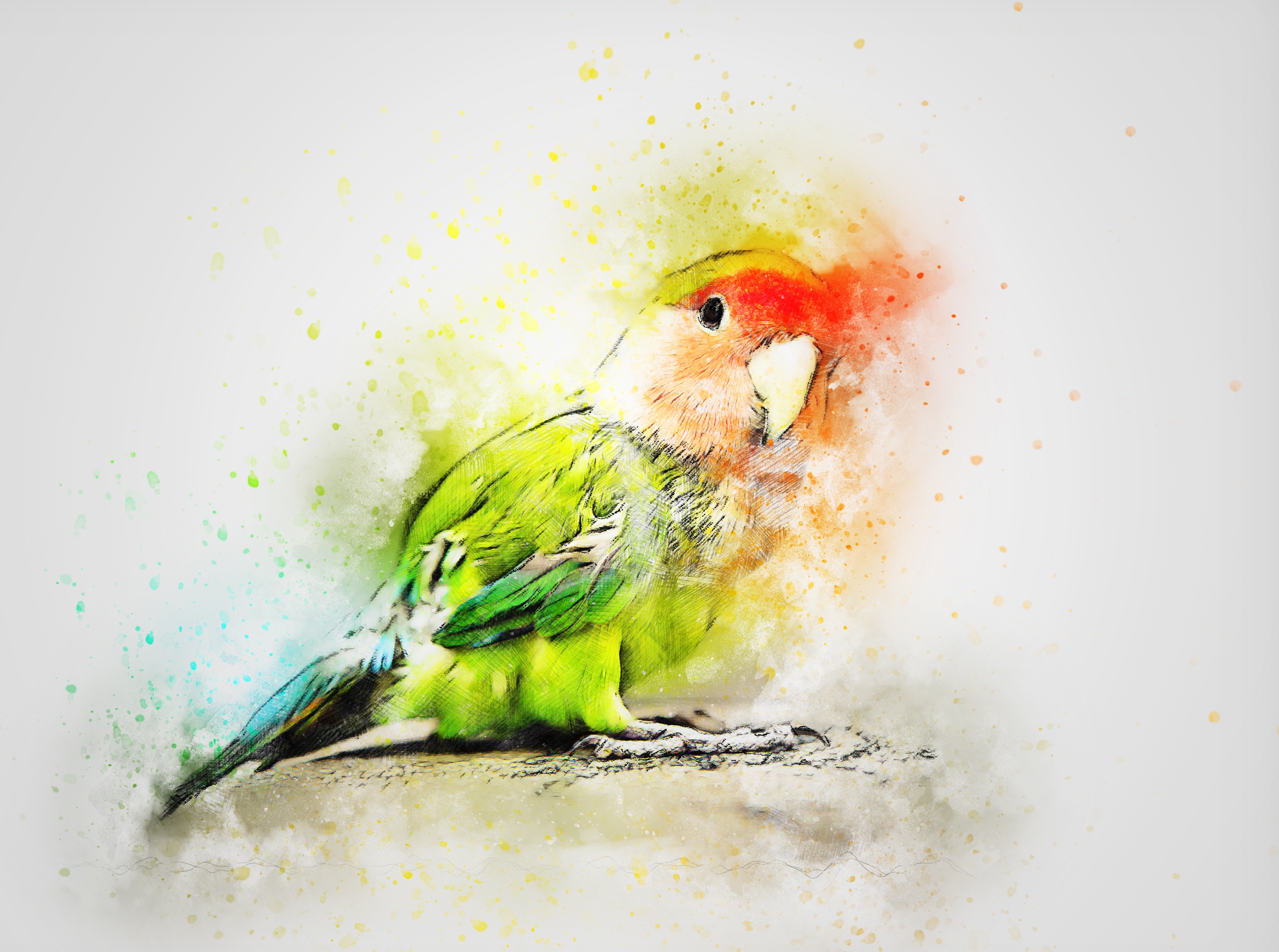 無料モバイル壁紙動物, 鳥, オウム, 芸術的, 水彩をダウンロードします。