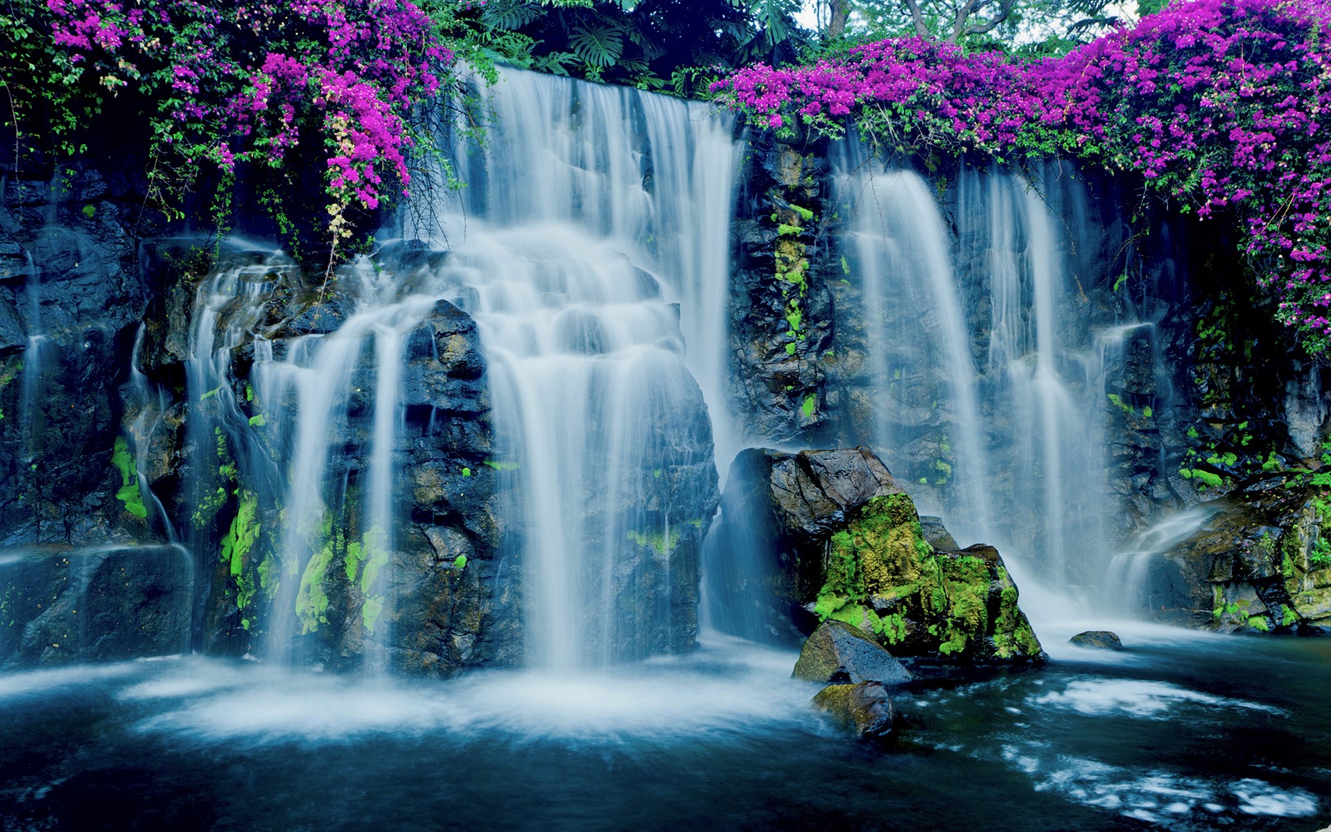 Скачать обои бесплатно Водопады, Цветок, Водопад, Гавайи, Фиолетовый Цветок, Земля/природа картинка на рабочий стол ПК