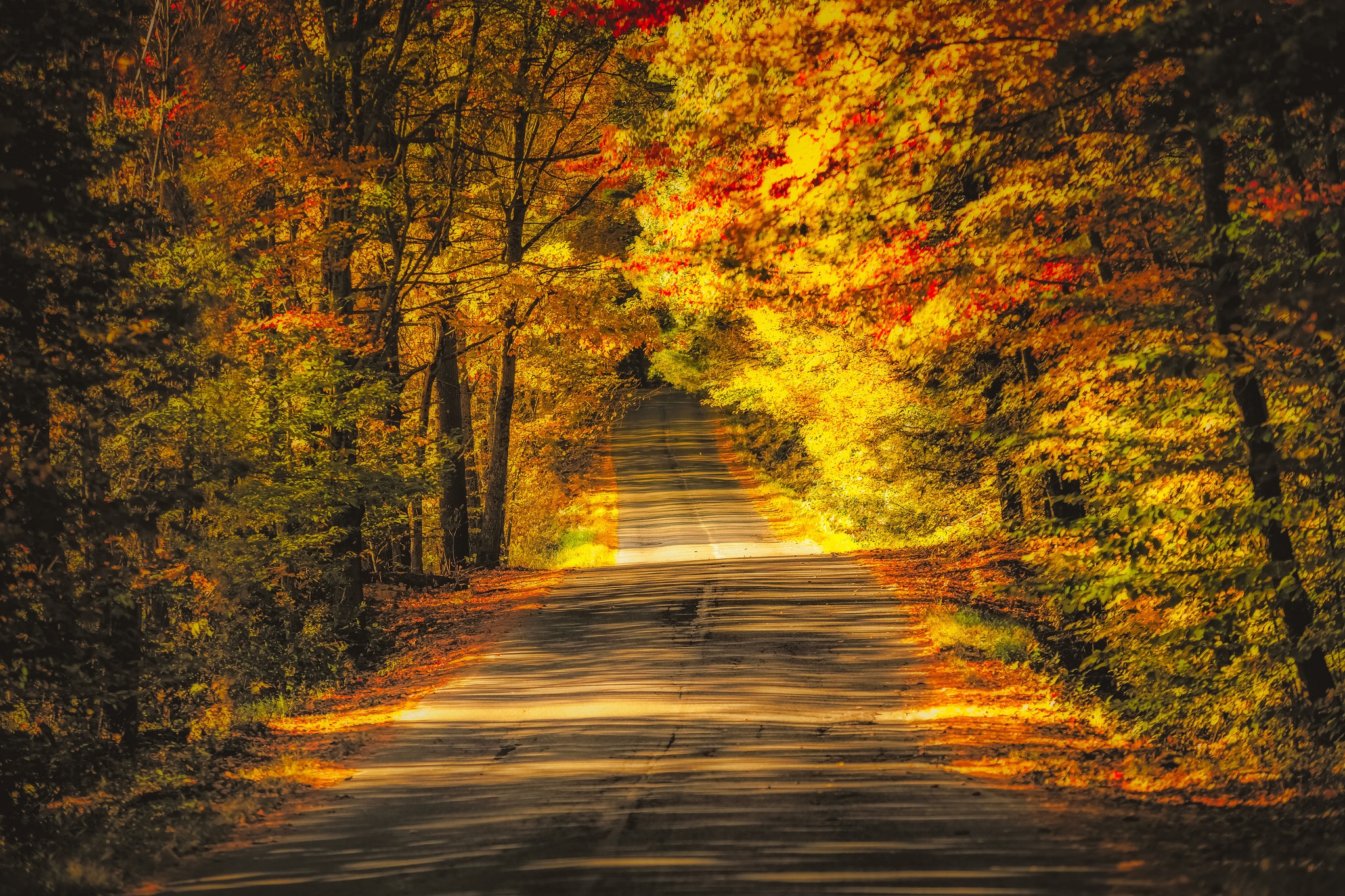 Download mobile wallpaper Nature, Road, Forest, Tree, Fall, Man Made for free.