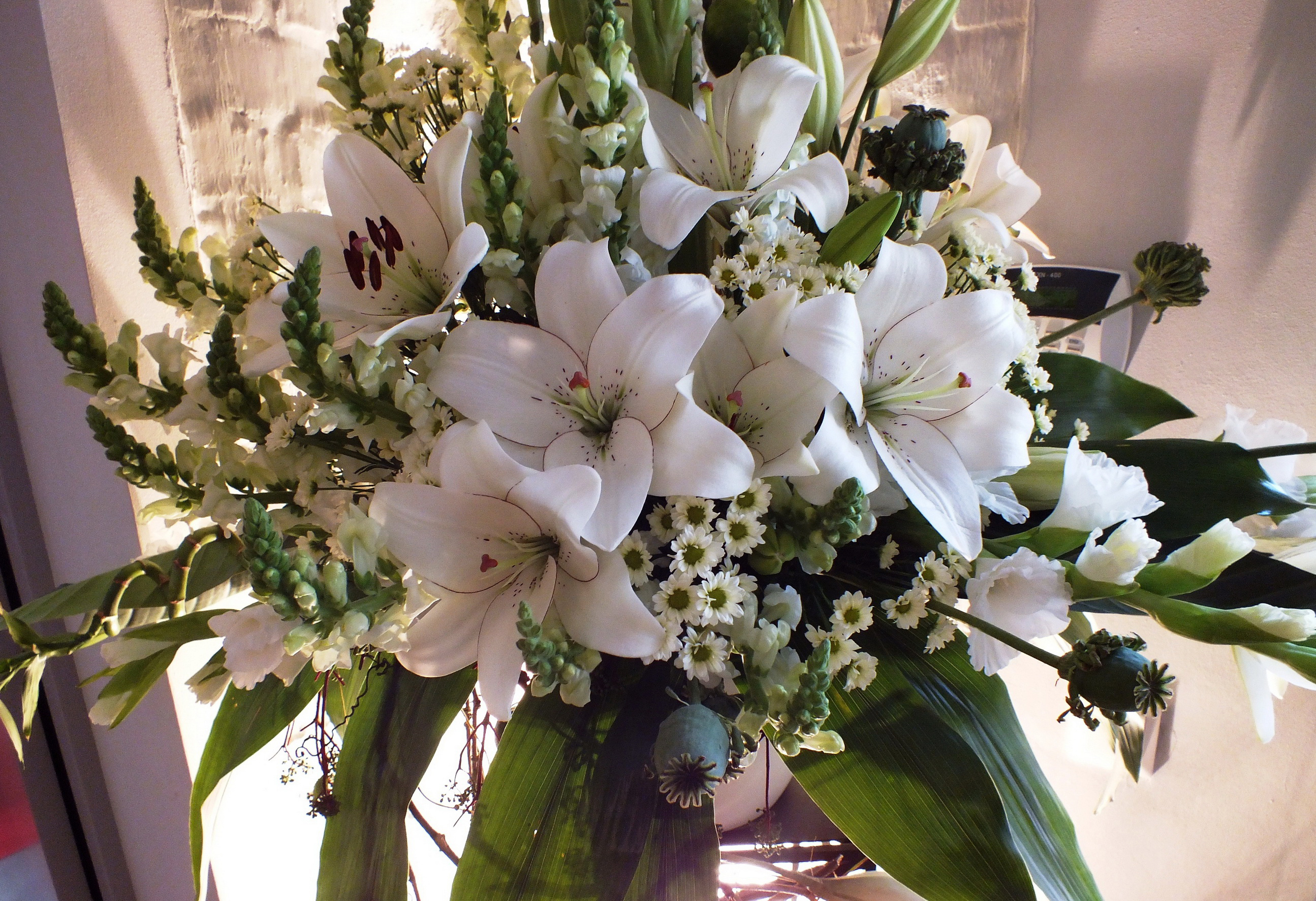 Laden Sie das Blume, Nahansicht, Vase, Lilie, Weiße Blume, Menschengemacht-Bild kostenlos auf Ihren PC-Desktop herunter