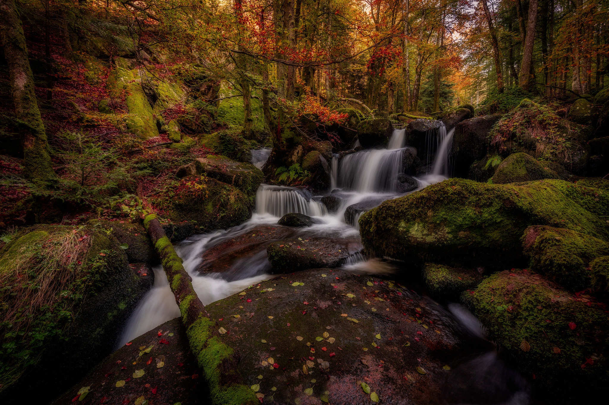 Laden Sie das Herbst, Wasserfälle, Wasserfall, Wald, Baum, Frankreich, Stein, Moos, Erde/natur-Bild kostenlos auf Ihren PC-Desktop herunter
