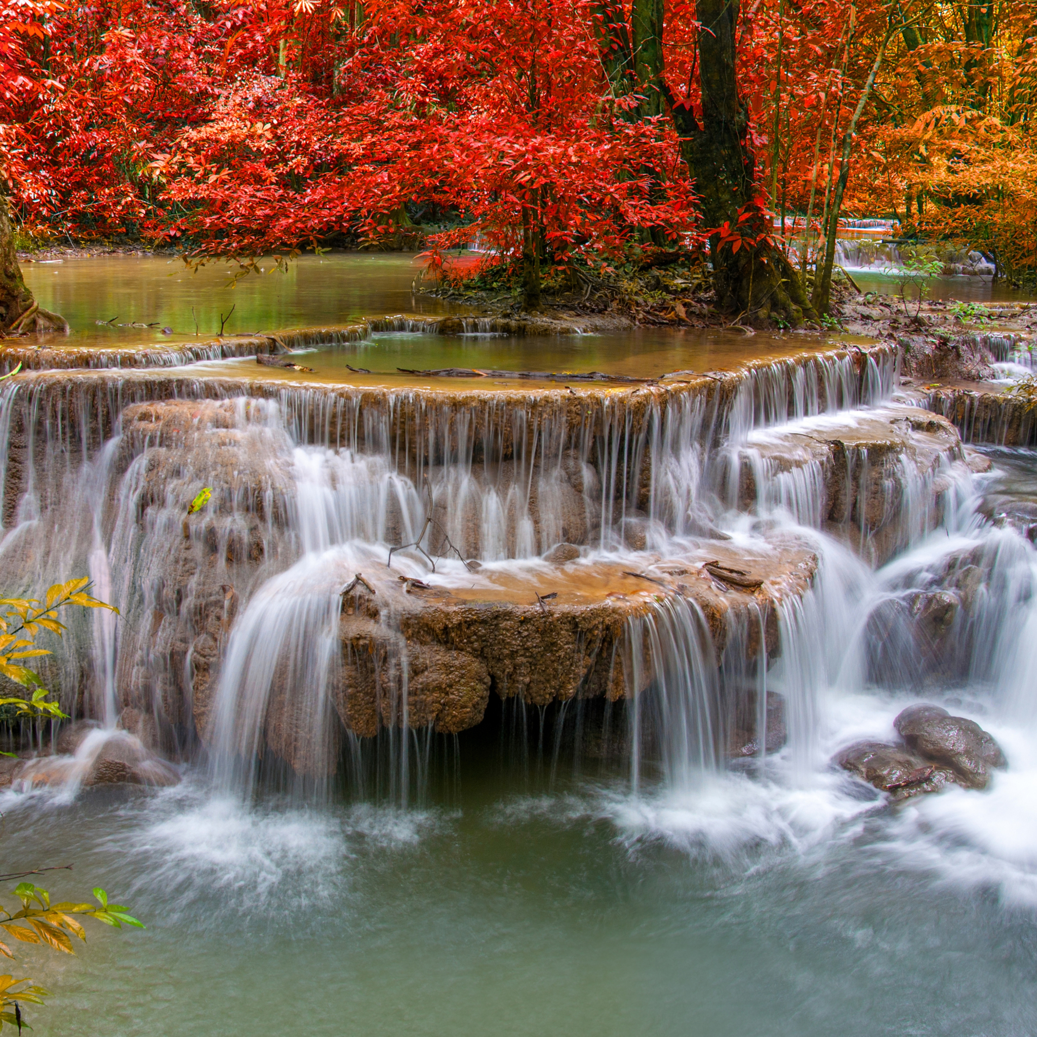 Handy-Wallpaper Natur, Herbst, Wasserfälle, Wasserfall, Wald, Baum, Erde/natur kostenlos herunterladen.