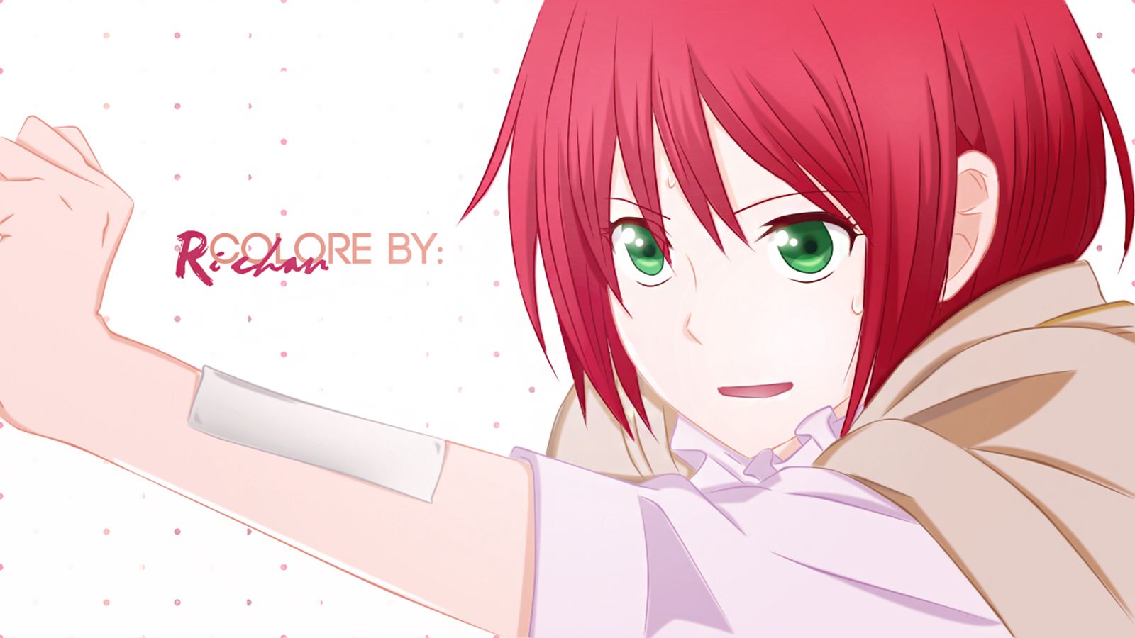 Free download wallpaper Anime, Snow White With The Red Hair, Shirayuki (Snow White With The Red Hair) on your PC desktop