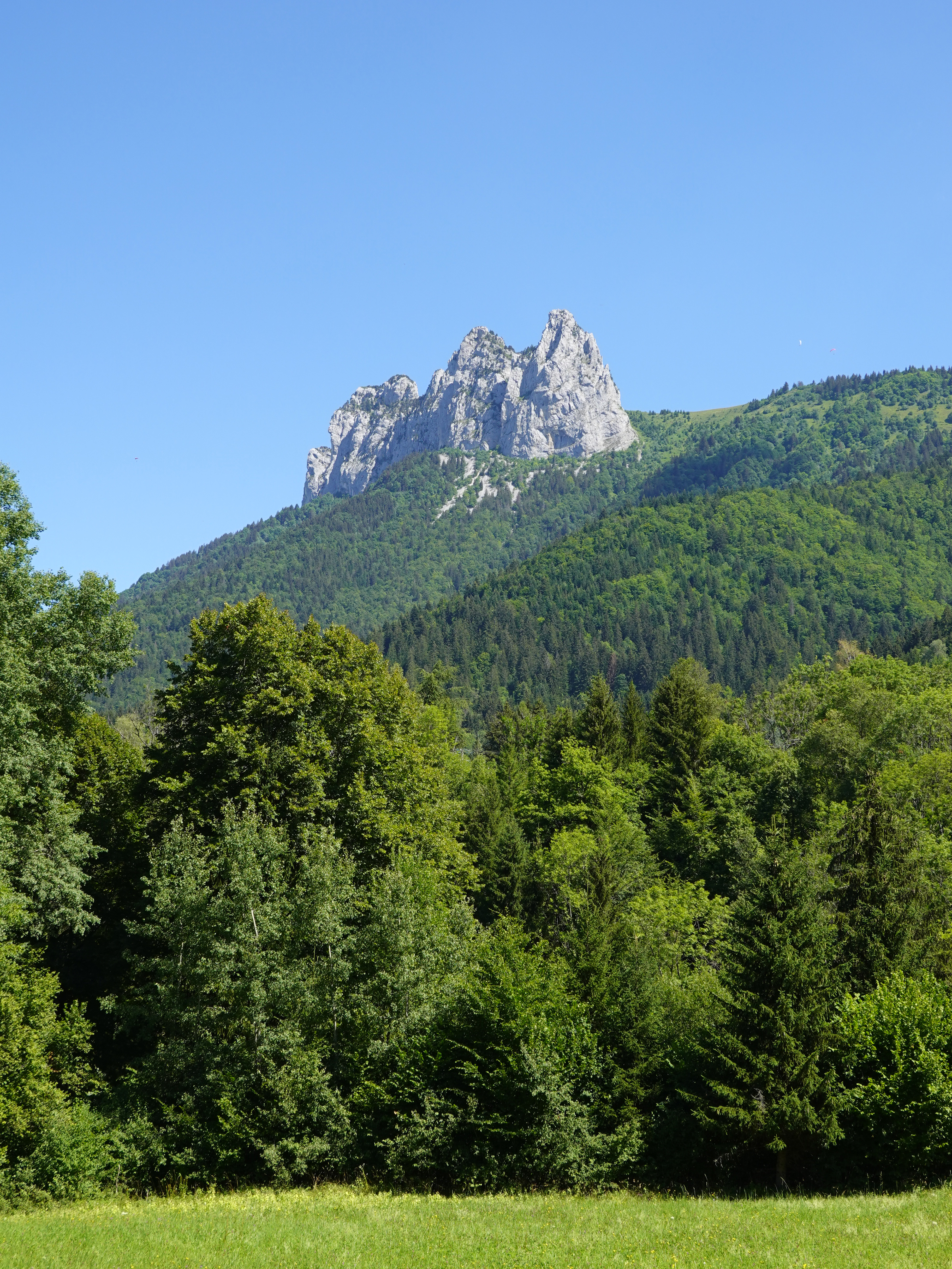Handy-Wallpaper Natur, Felsen, Berg, Bäume, Rock, Wald kostenlos herunterladen.