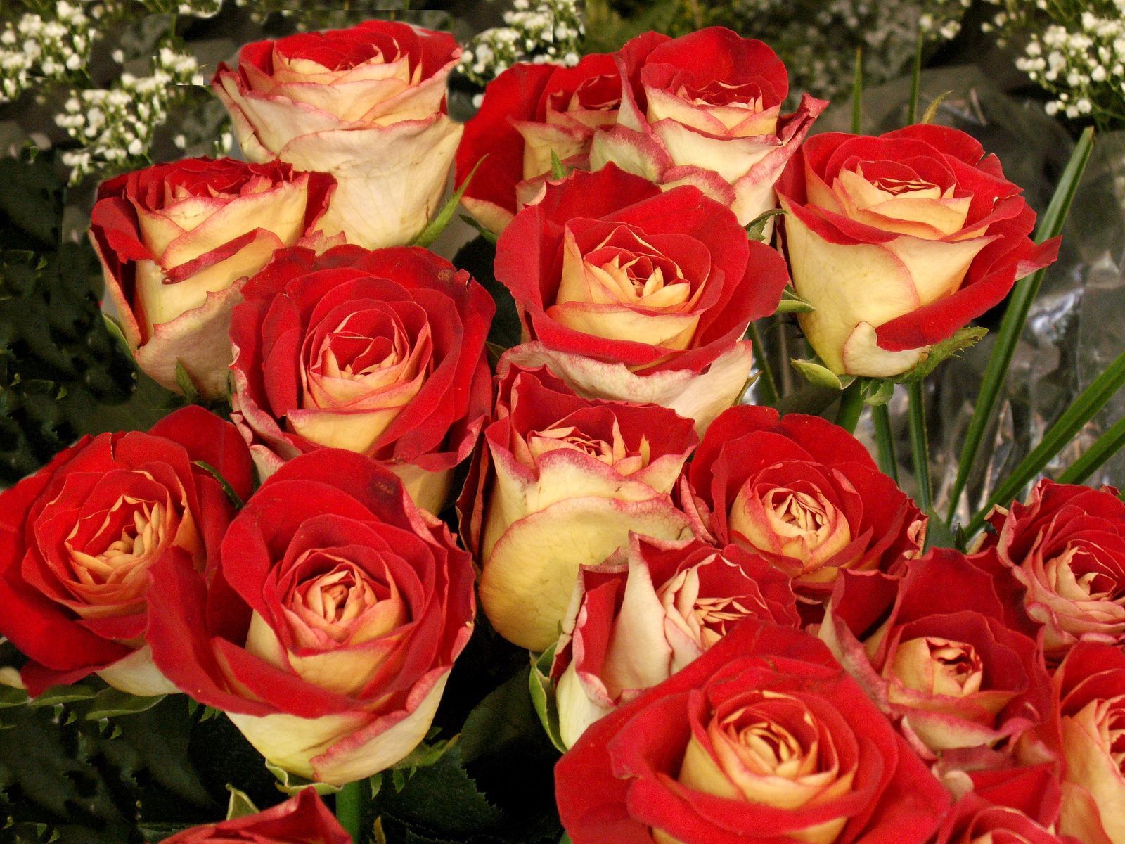 Скачать обои бесплатно Яркие, Бутоны, Букет, Цветы, Розы картинка на рабочий стол ПК