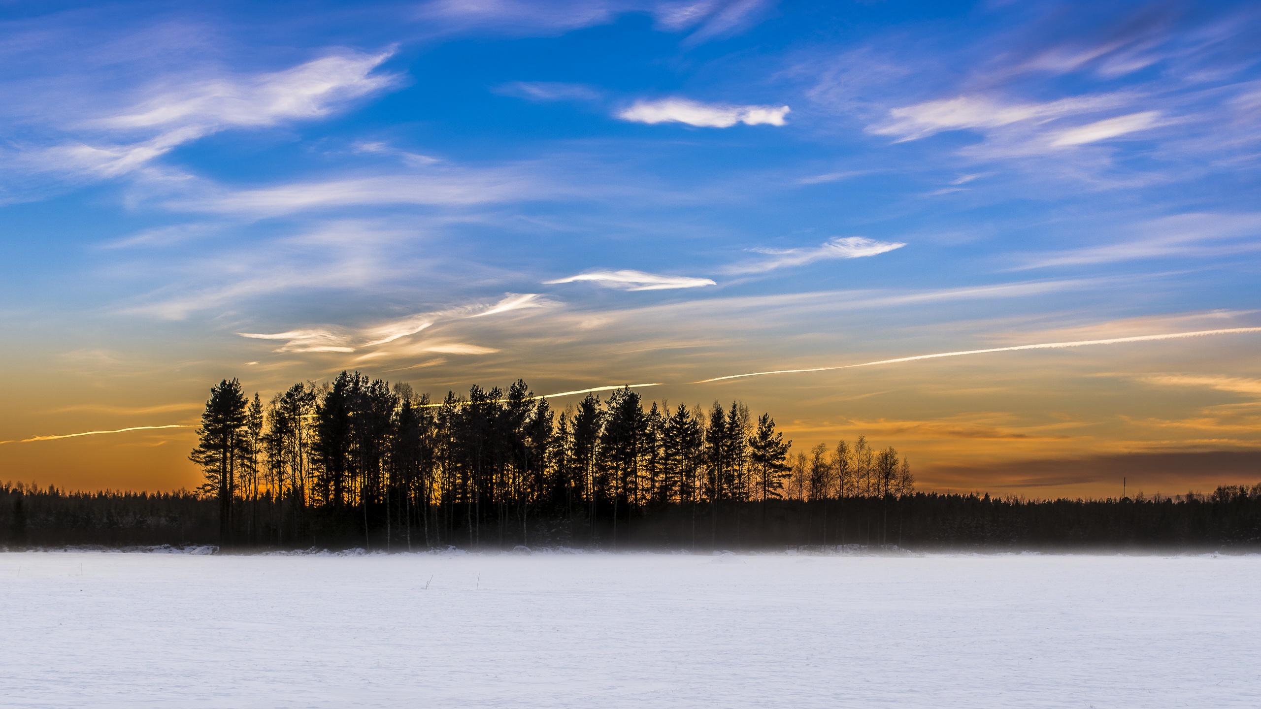 Free download wallpaper Winter, Nature, Sky, Snow, Tree, Earth on your PC desktop