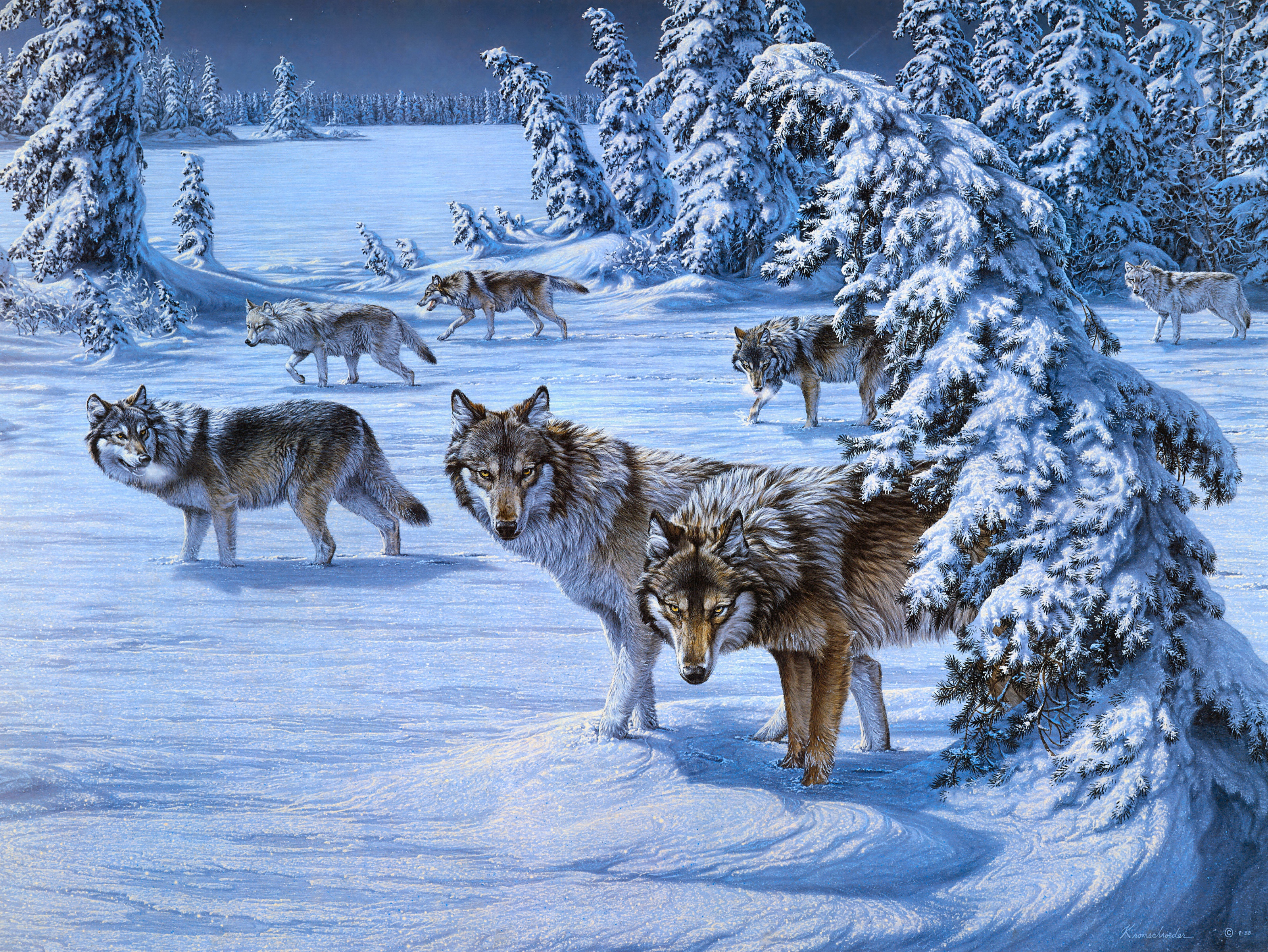 Handy-Wallpaper Tiere, Winter, Schnee, Wolf, Malerei, Wolves kostenlos herunterladen.