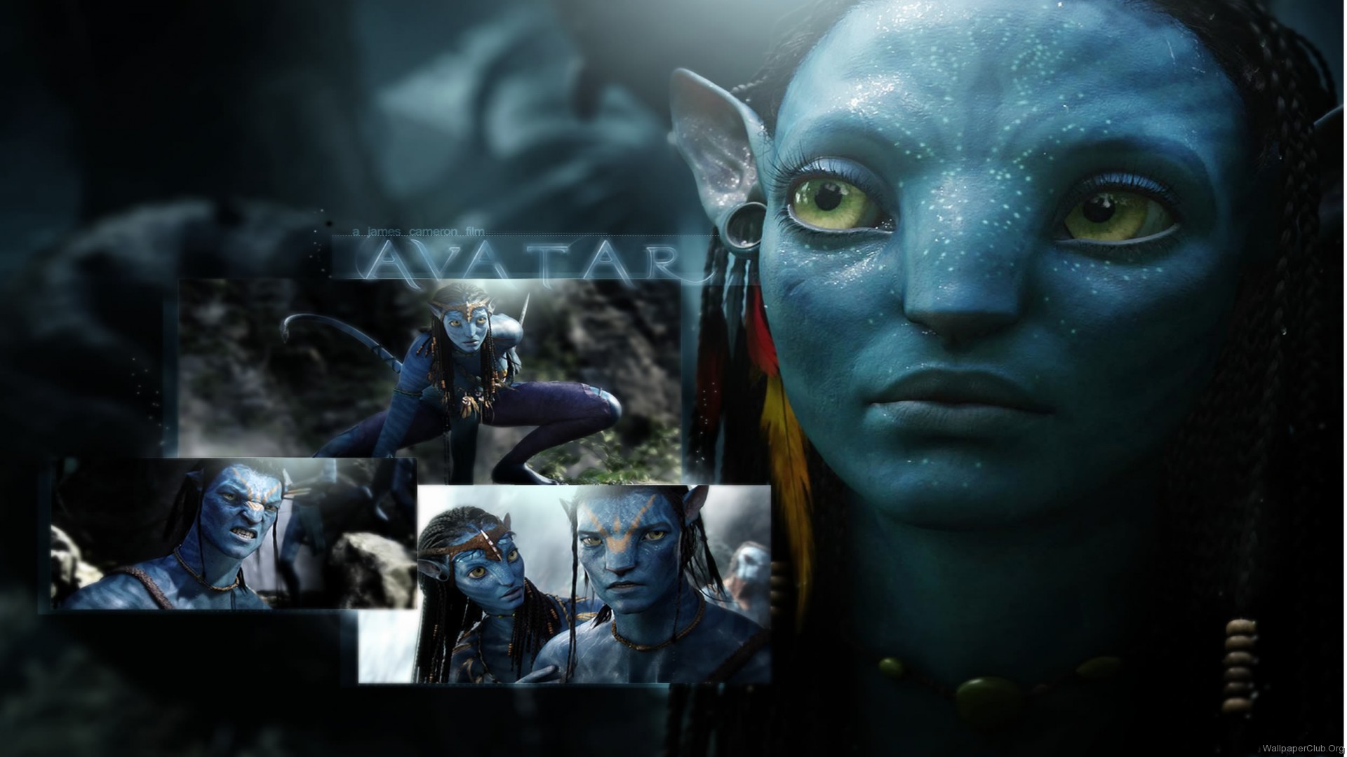 323953 Bildschirmschoner und Hintergrundbilder Avatar Aufbruch Nach Pandora auf Ihrem Telefon. Laden Sie  Bilder kostenlos herunter
