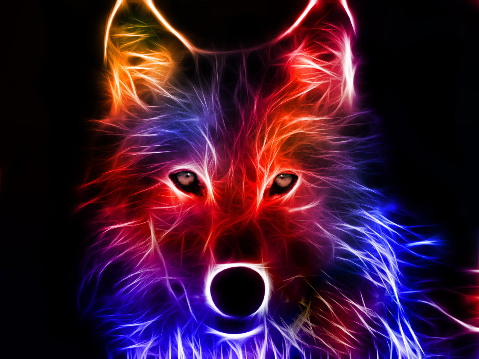 wolf, fractal, animal, colorful, wolves