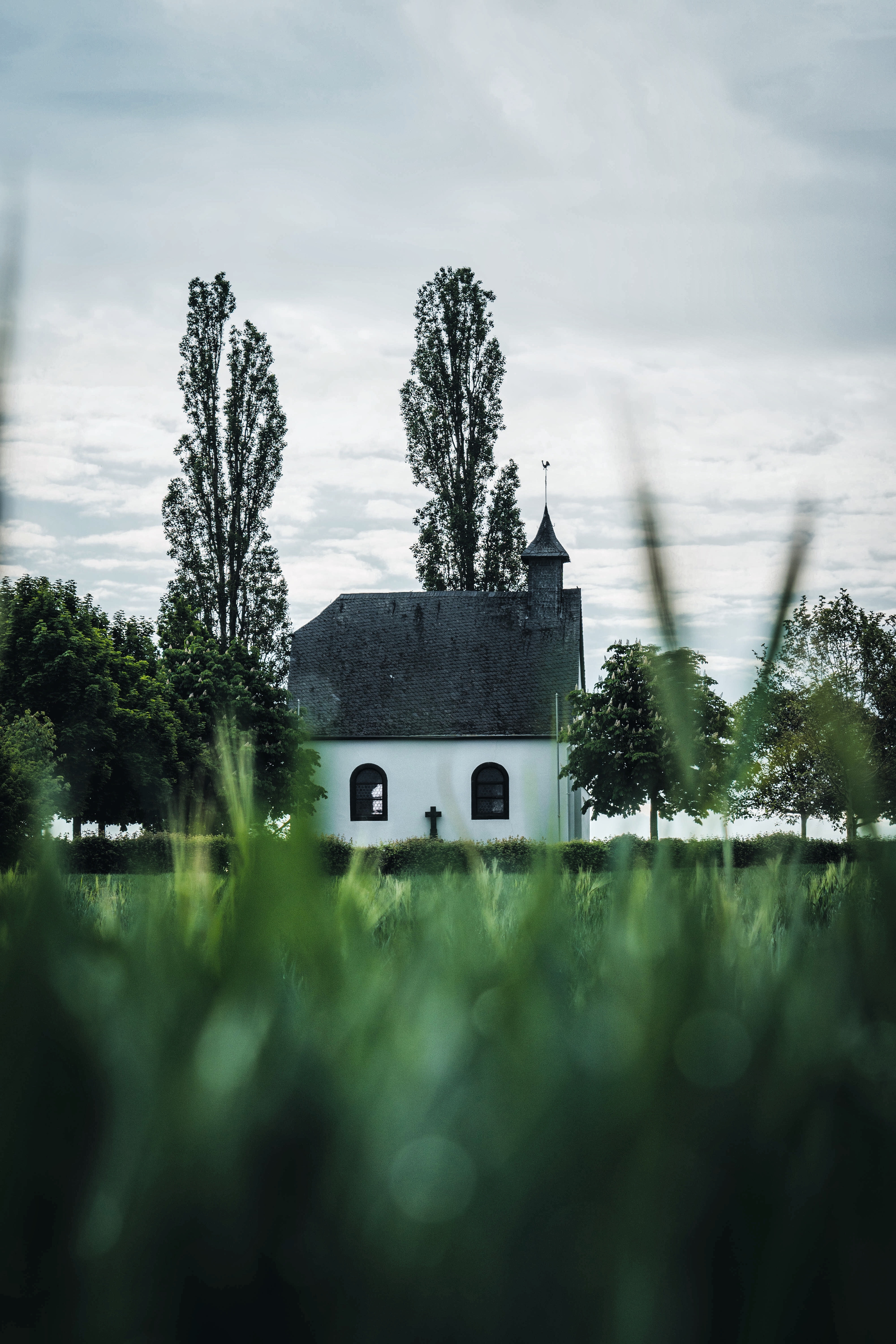 Download mobile wallpaper Cities, Trees, Grass, Building, Architecture, Church for free.