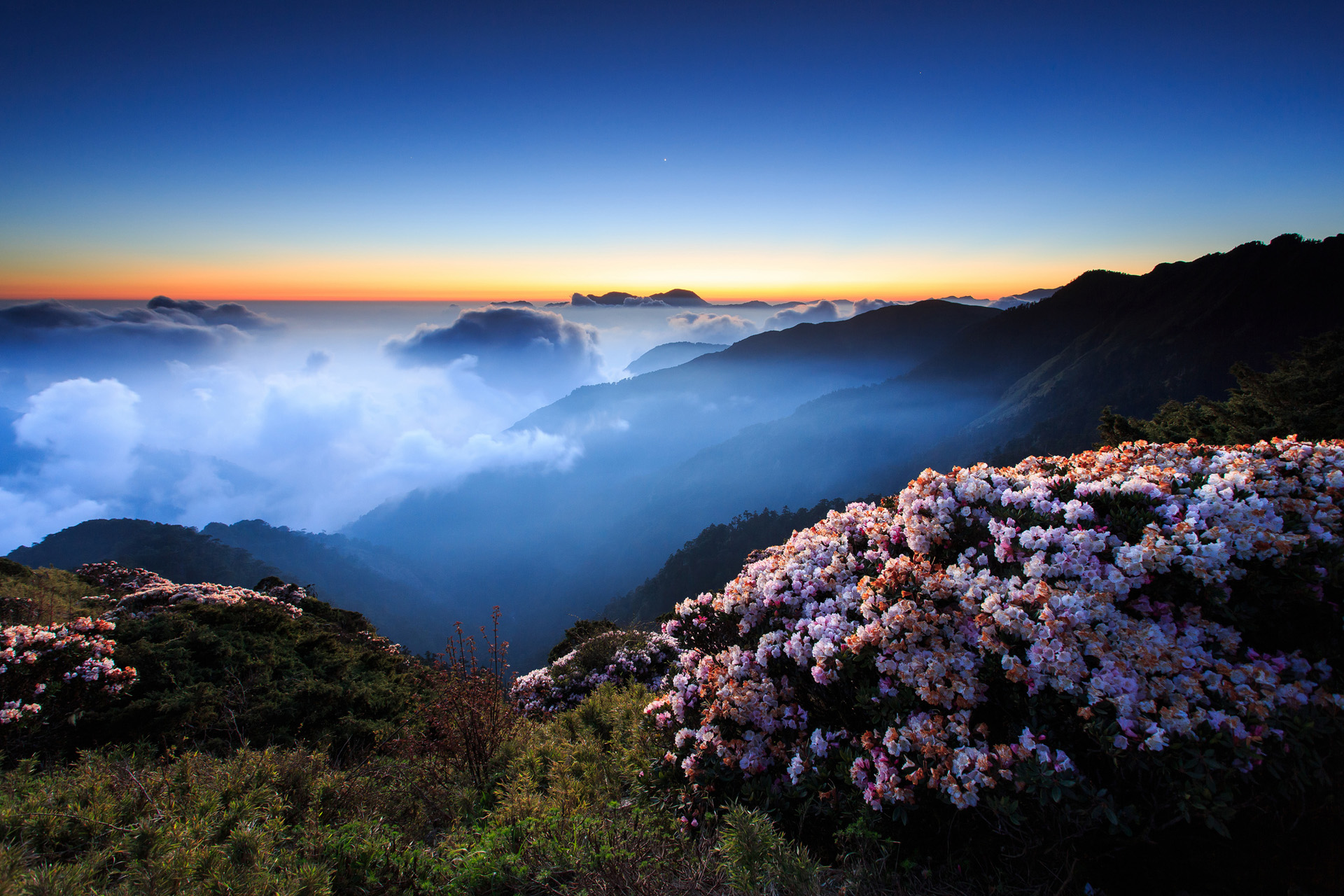 Laden Sie das Landschaft, Wald, Nebel, Gebirge, Wolke, Szene, Himmel, Erde/natur-Bild kostenlos auf Ihren PC-Desktop herunter