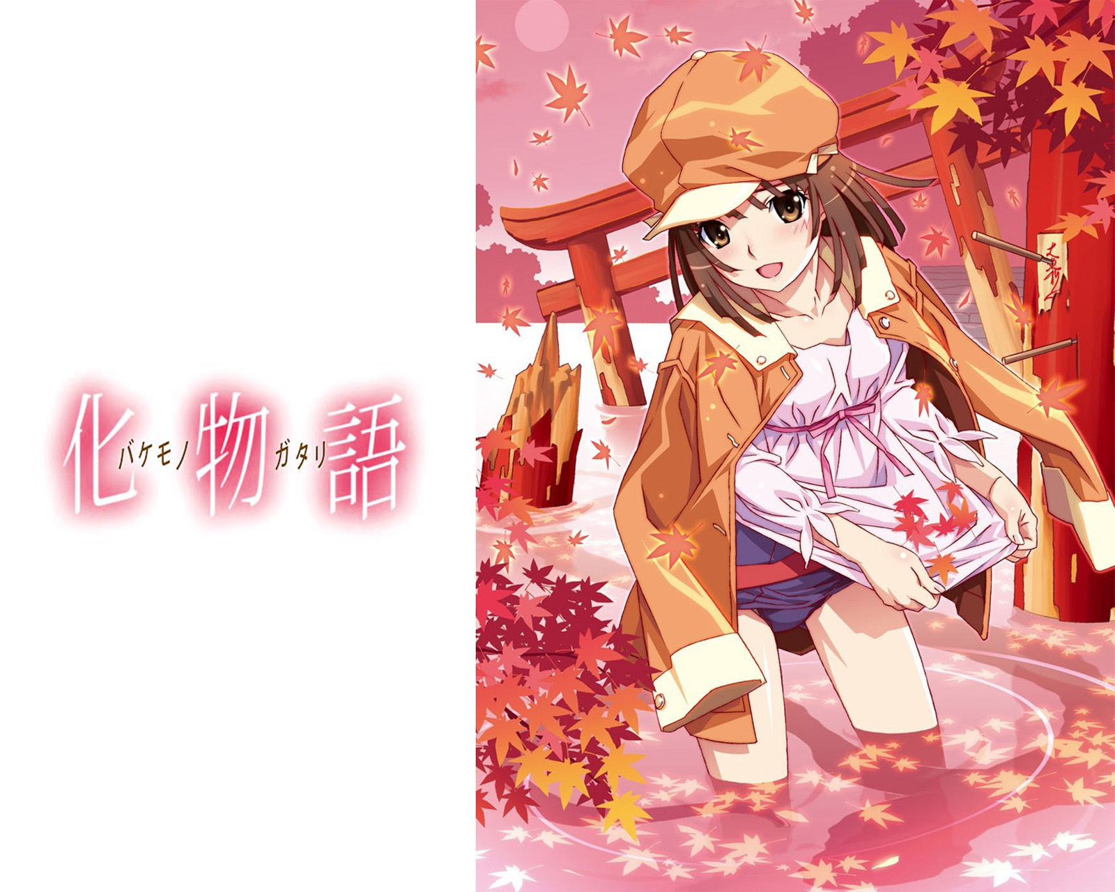 Desktop home screen Wallpaper  Nadeko Sengoku