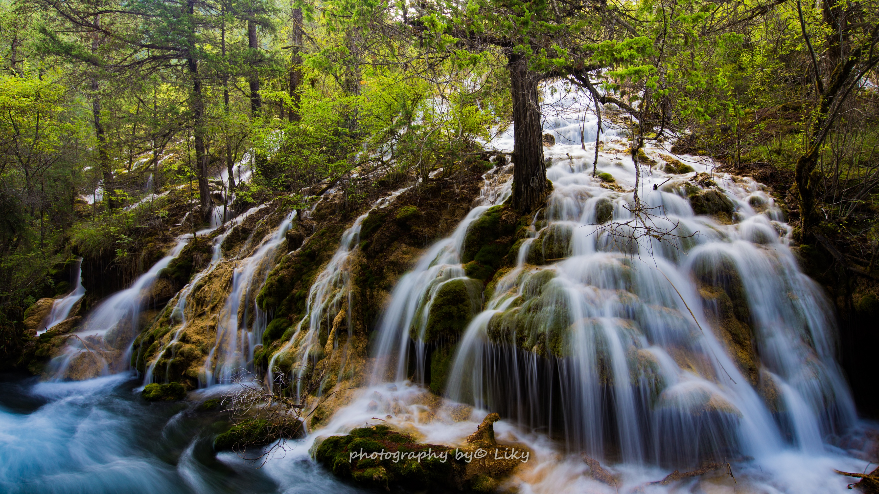 Laden Sie das Wasserfälle, Wasserfall, Wald, Baum, Erde/natur-Bild kostenlos auf Ihren PC-Desktop herunter