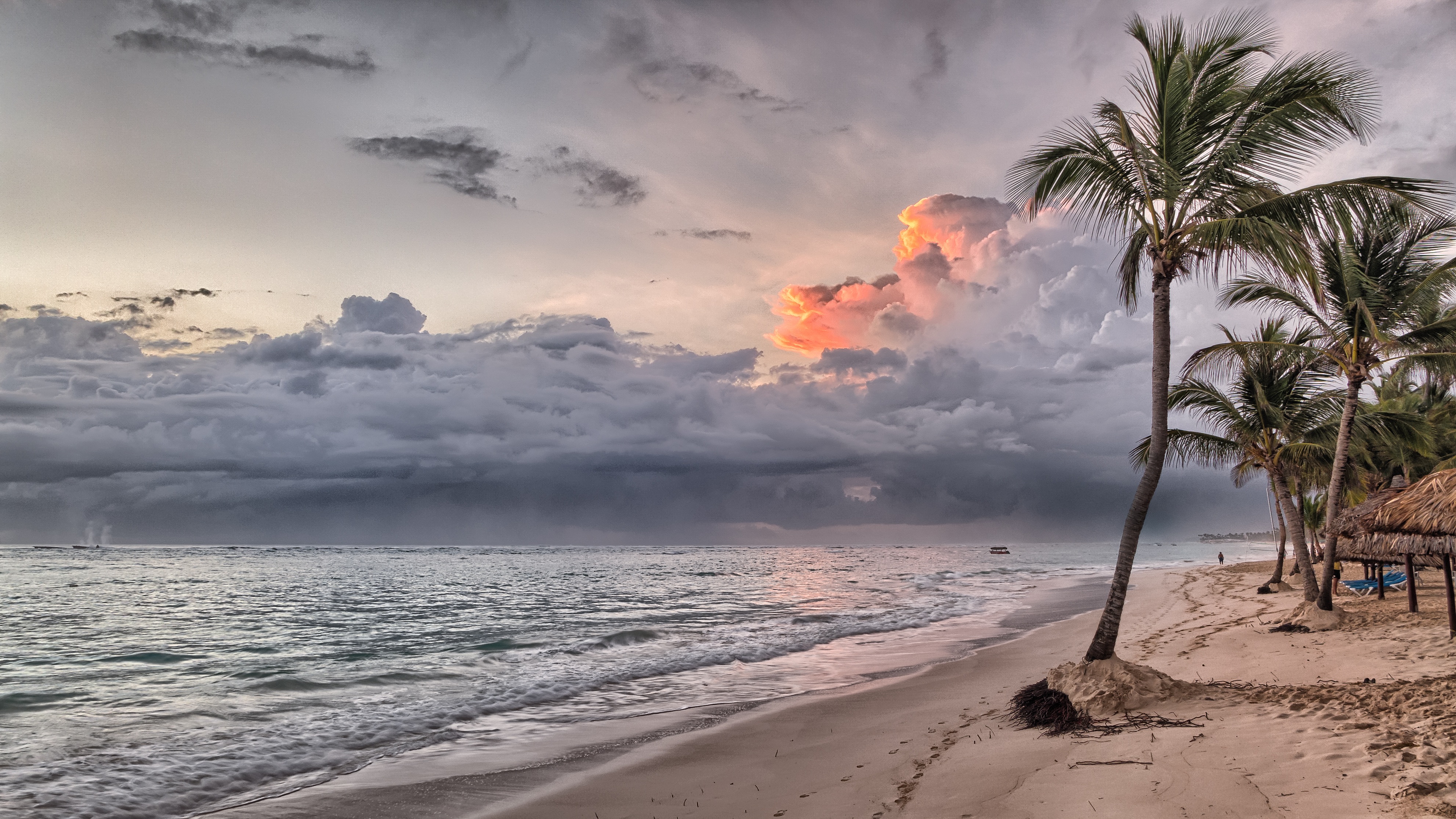130355 скачать картинку пальмы, тропики, песок, доминиканская республика, пляж, природа - обои и заставки бесплатно