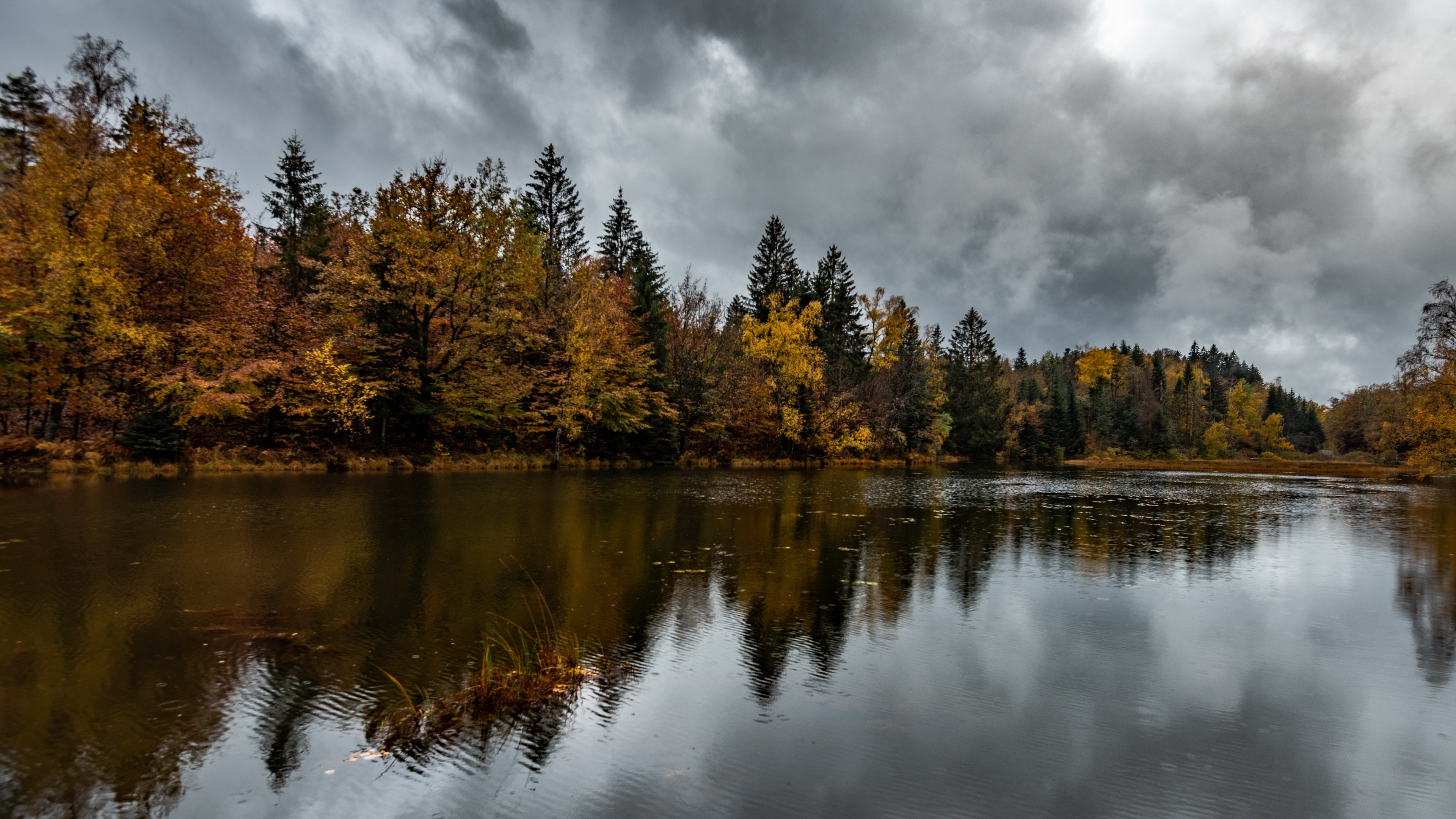 Download mobile wallpaper Nature, Reflection, Fall, Earth, River for free.