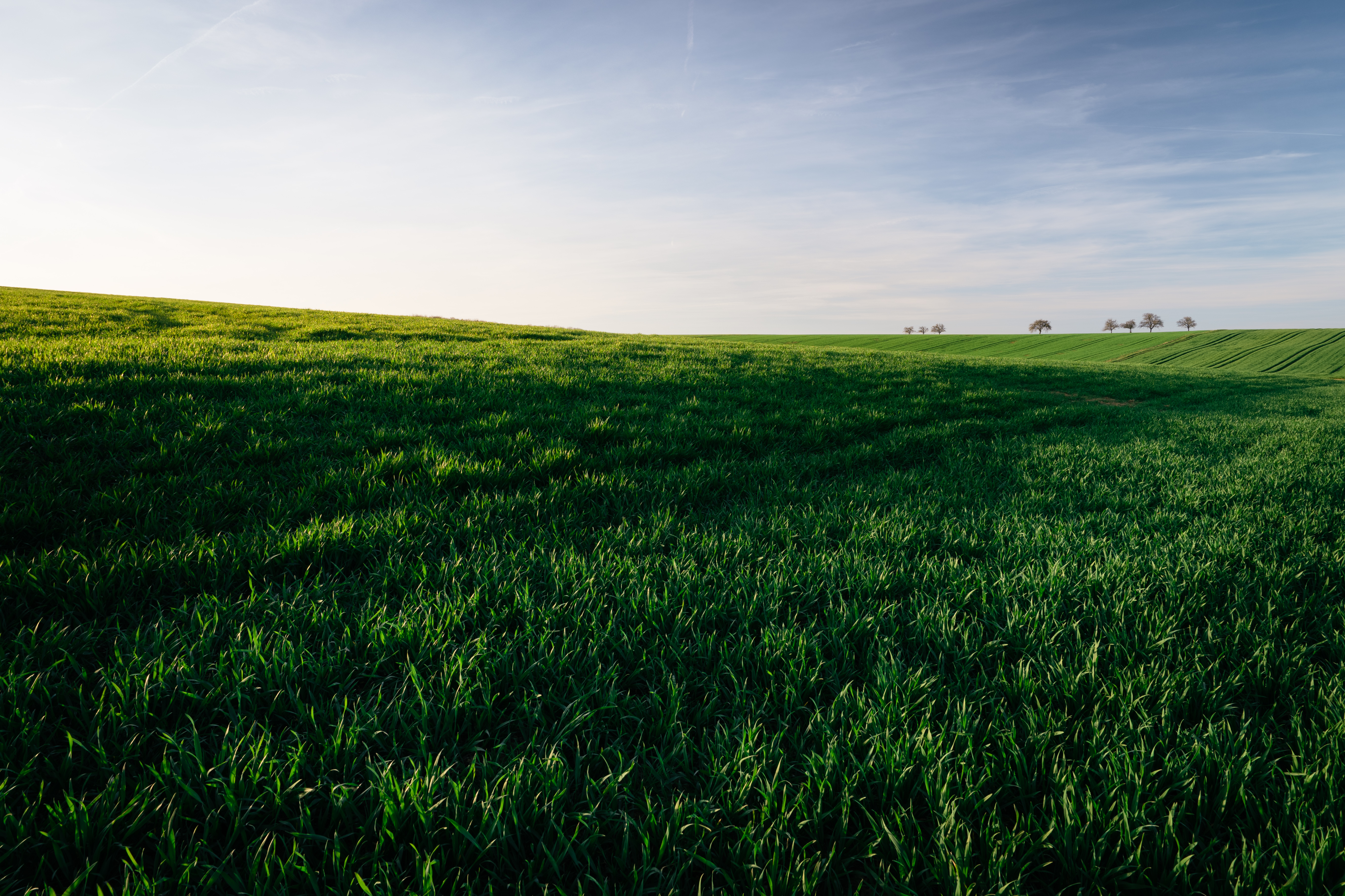 Free download wallpaper Nature, Grass, Sky, Horizon, Field on your PC desktop