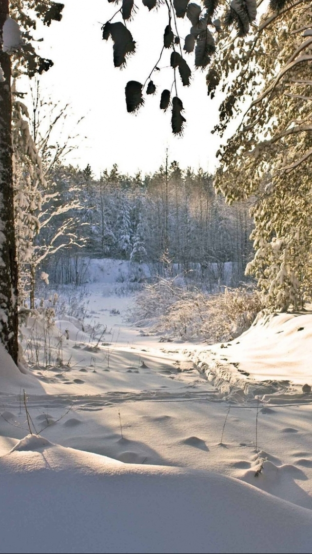 Handy-Wallpaper Winter, Erde/natur kostenlos herunterladen.