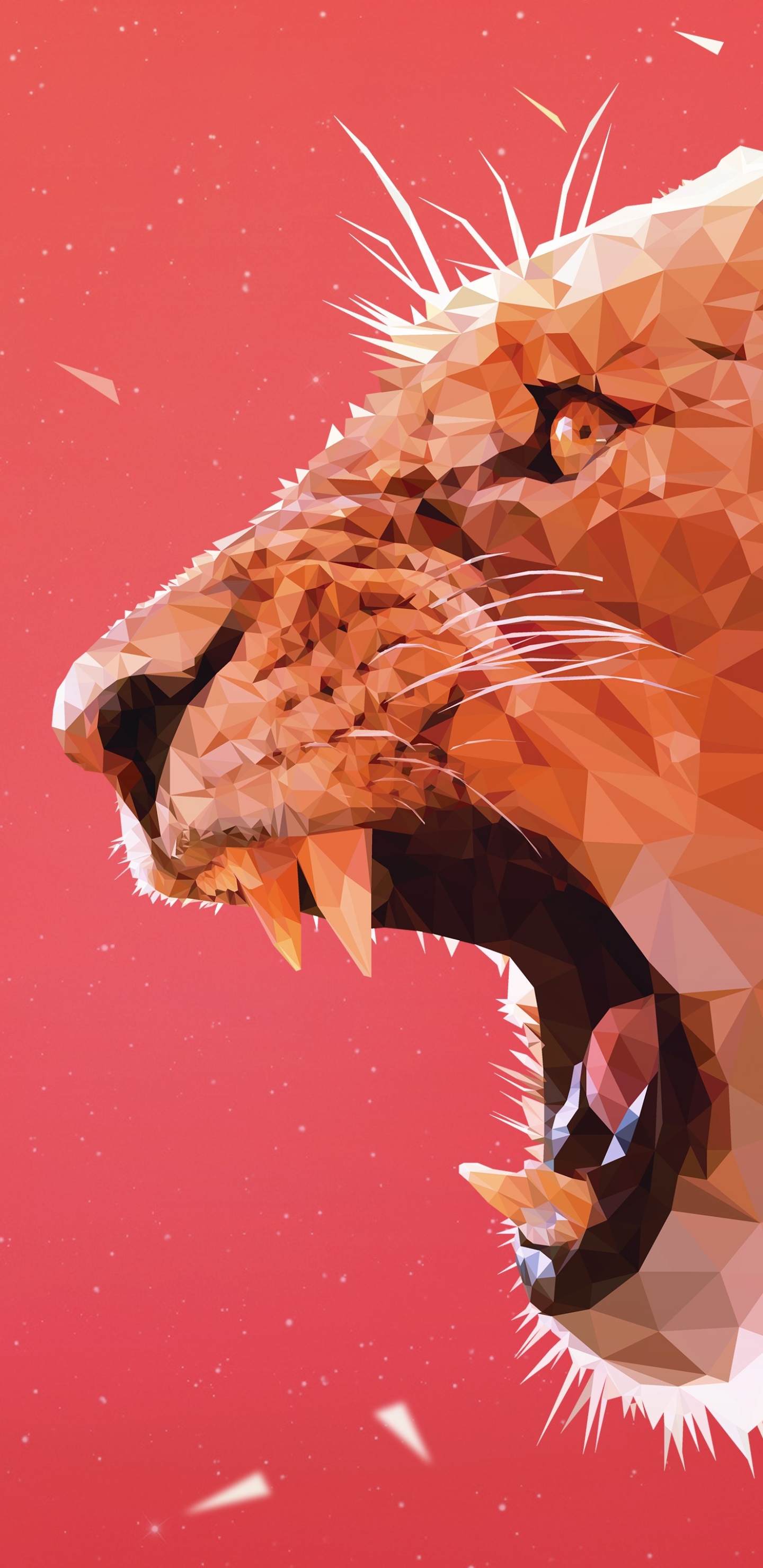 Free download wallpaper Cats, Lion, Animal, Facets on your PC desktop