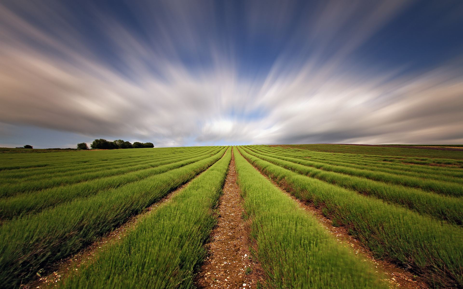 Handy-Wallpaper Landschaft, Feld, Erde/natur kostenlos herunterladen.