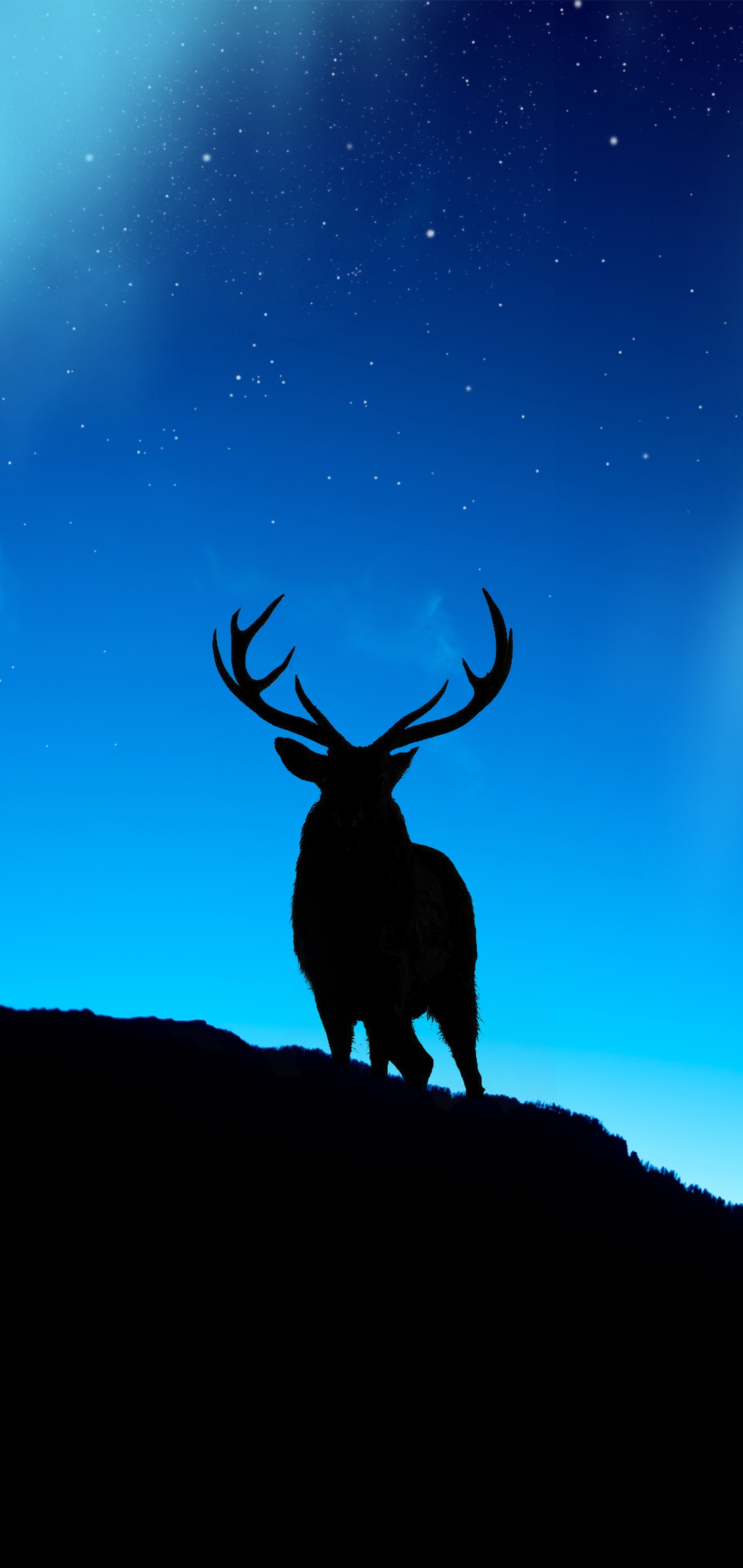 Download mobile wallpaper Animal, Deer for free.