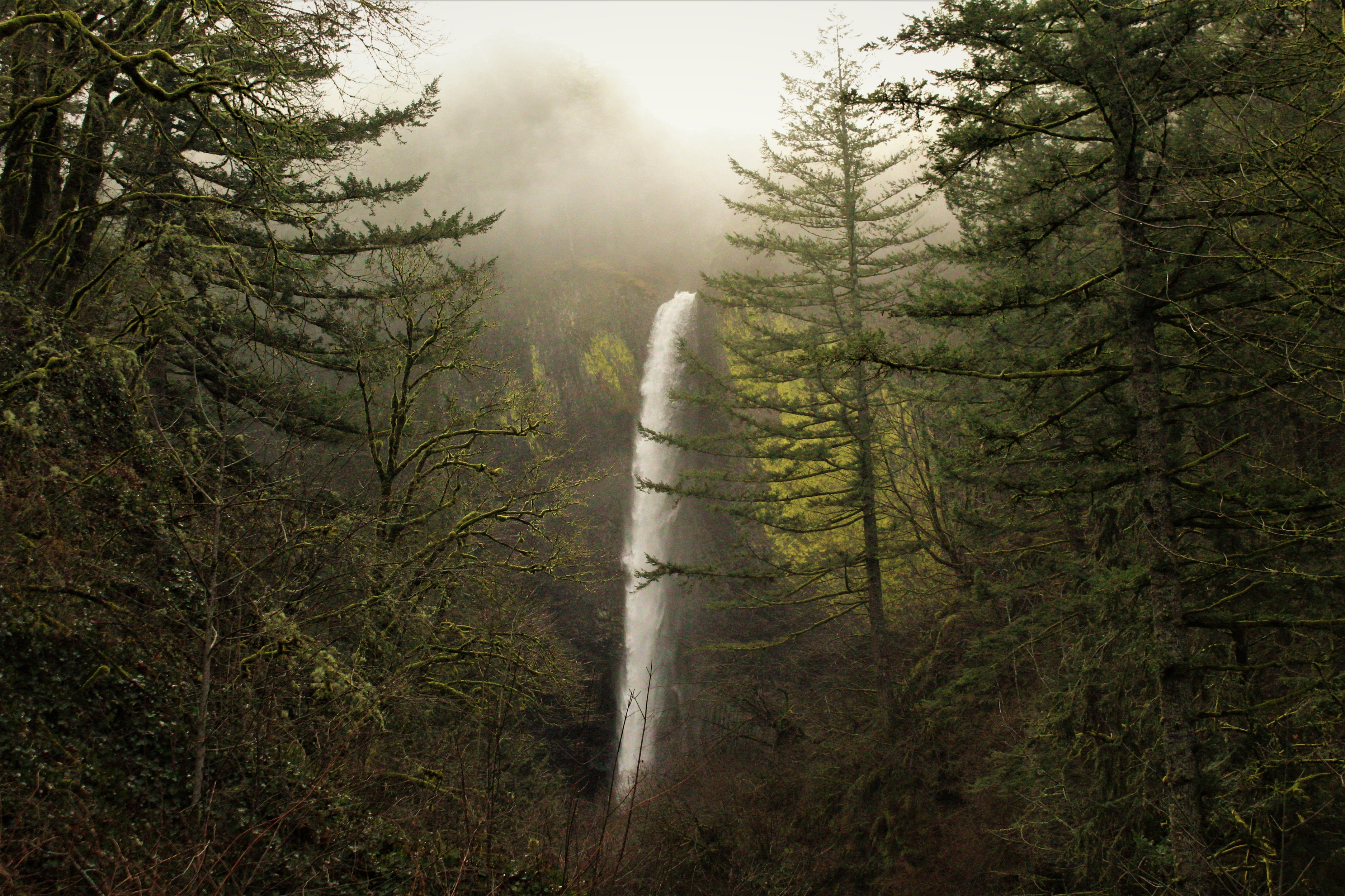Laden Sie das Wasserfälle, Wasserfall, Wald, Baum, Gebirge, Erde/natur-Bild kostenlos auf Ihren PC-Desktop herunter