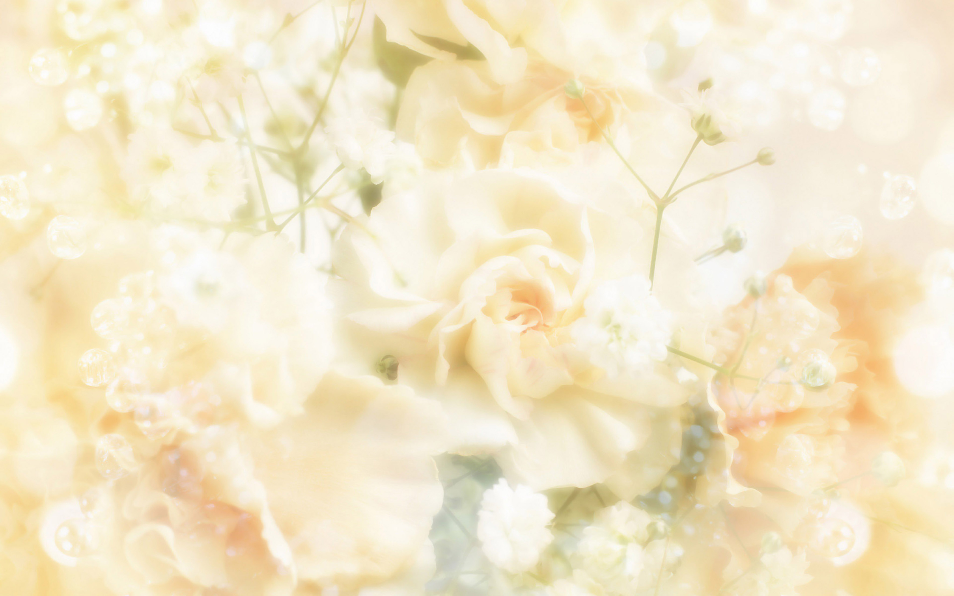 Laden Sie das Blumen, Blume, Pastell, Weiße Blume, Künstlerisch-Bild kostenlos auf Ihren PC-Desktop herunter