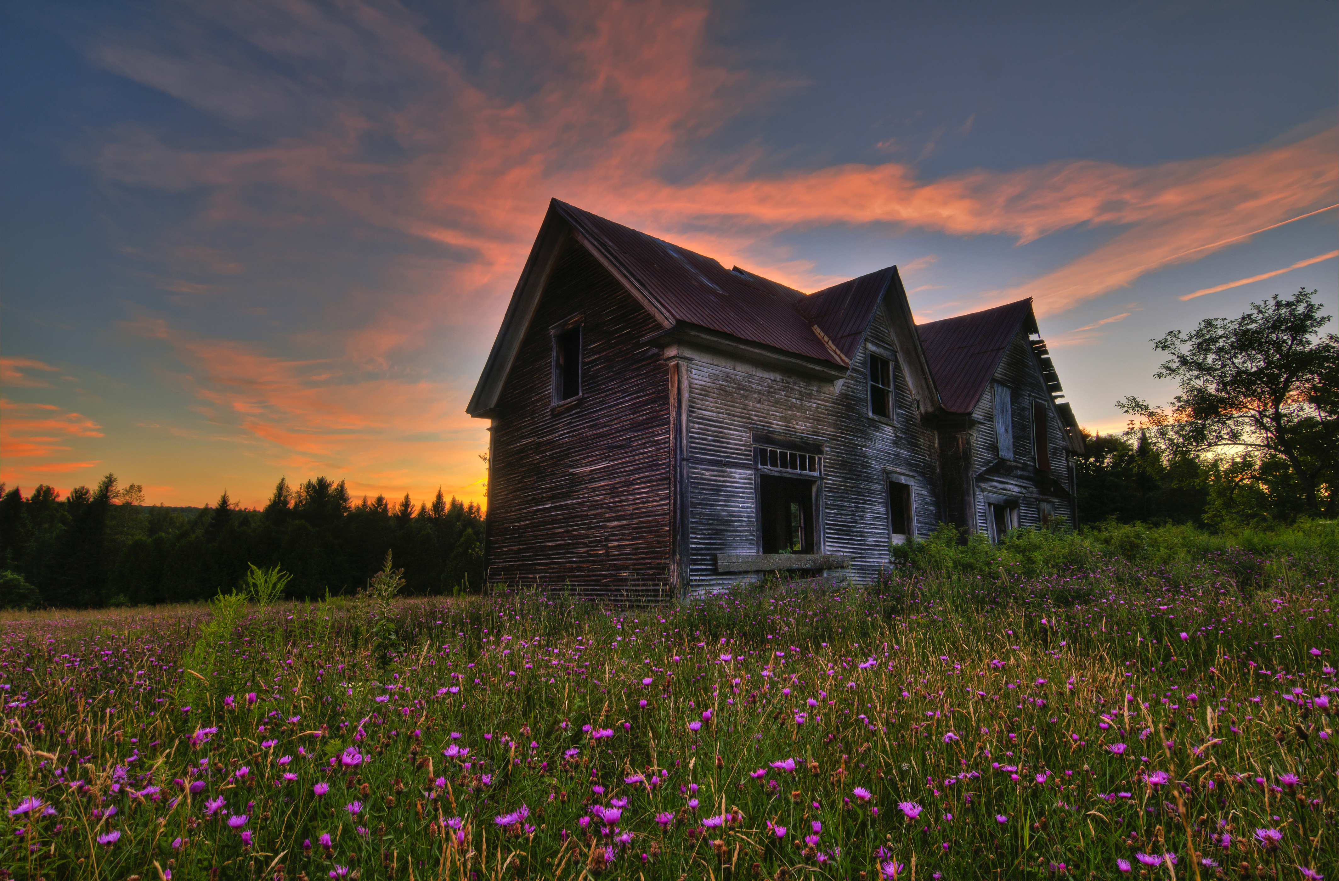 Free download wallpaper Sunset, Grass, Flower, House, Spring, Ruin, Man Made on your PC desktop