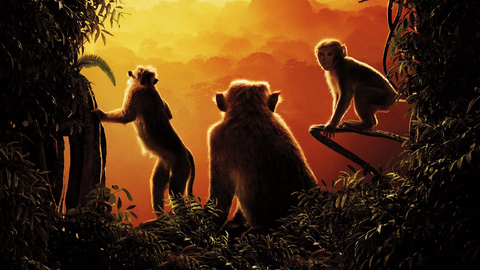 Free download wallpaper Monkey, Movie, Monkey Kingdom on your PC desktop