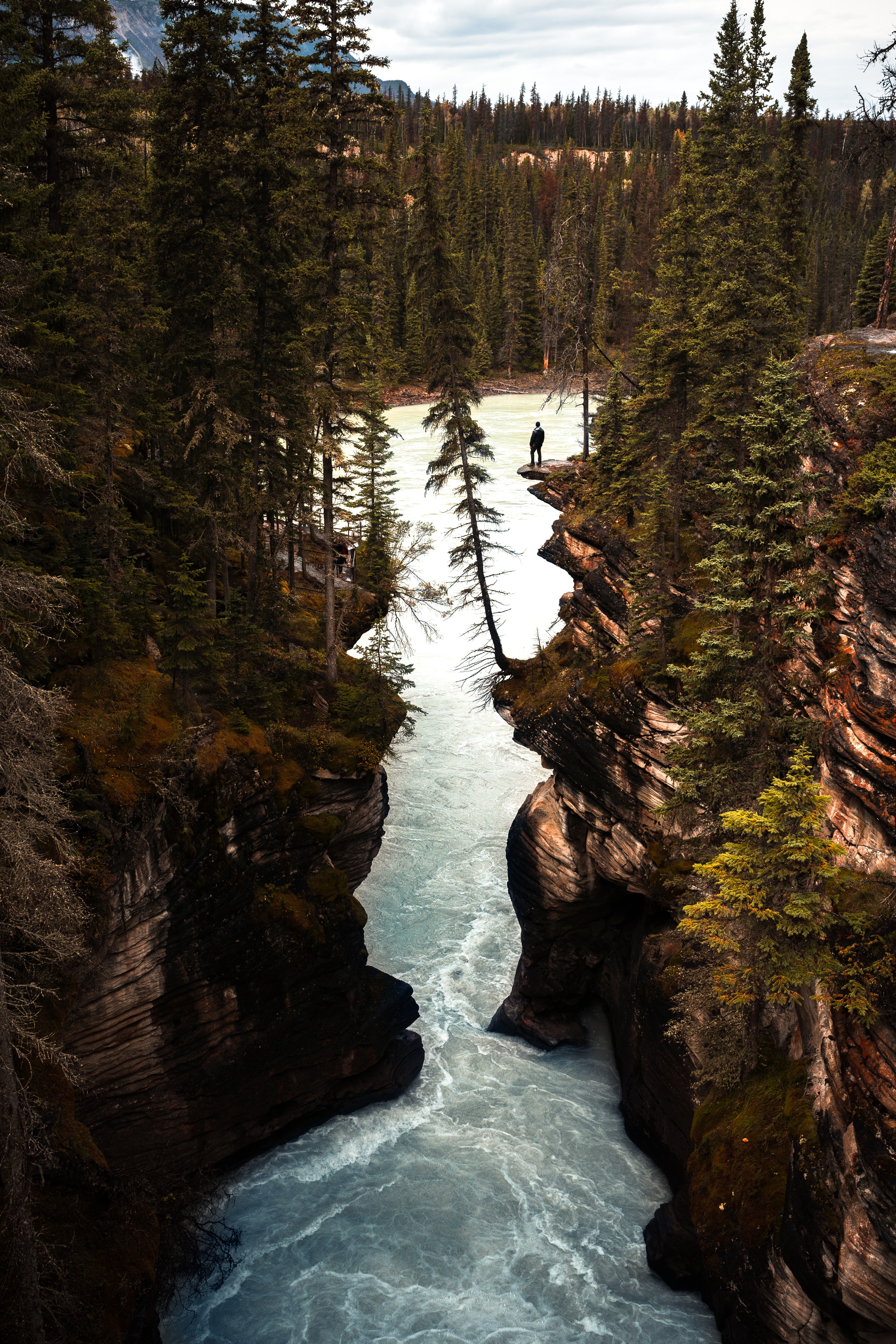rivers, nature, trees, rocks, silhouette, break, precipice 4K for PC