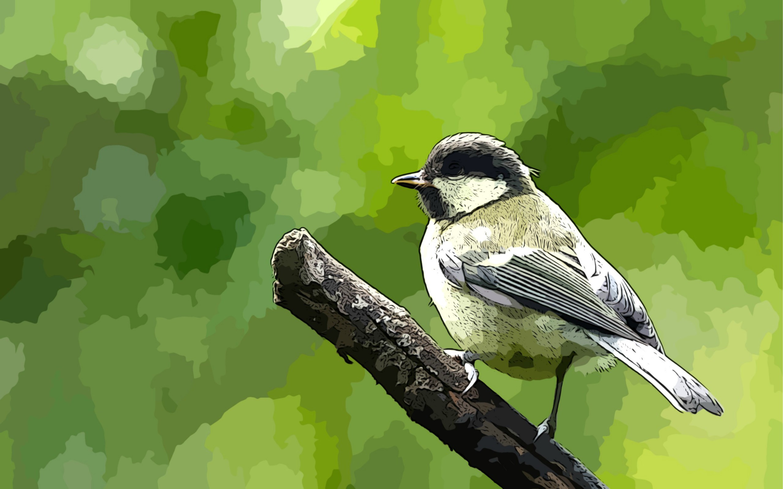 Free download wallpaper Birds, Bird, Animal on your PC desktop