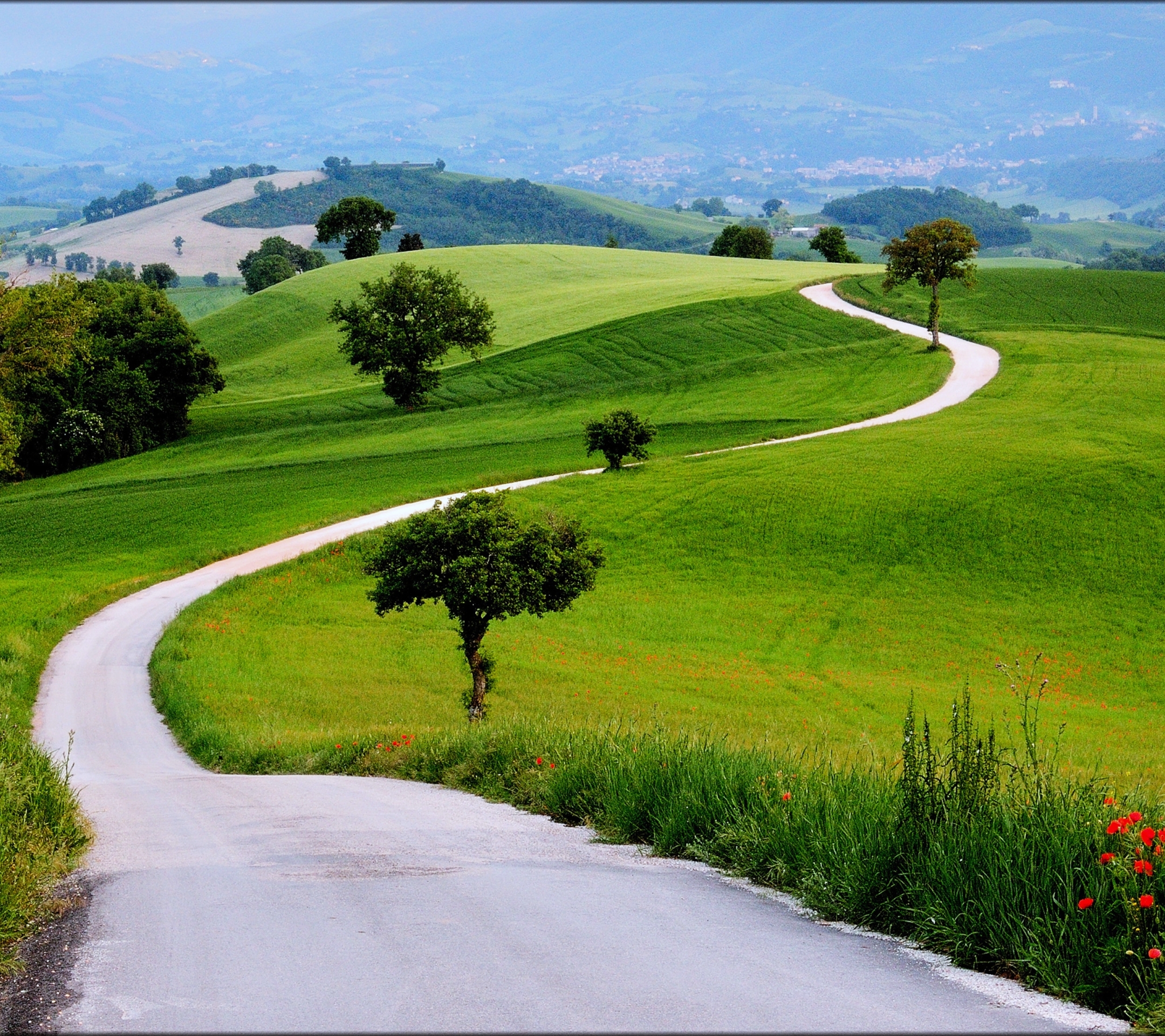 Descarga gratuita de fondo de pantalla para móvil de Paisaje, Naturaleza, Hierba, Árbol, Tierra, Campo, Césped, Fotografía, Carretera, Colina, La Carretera.