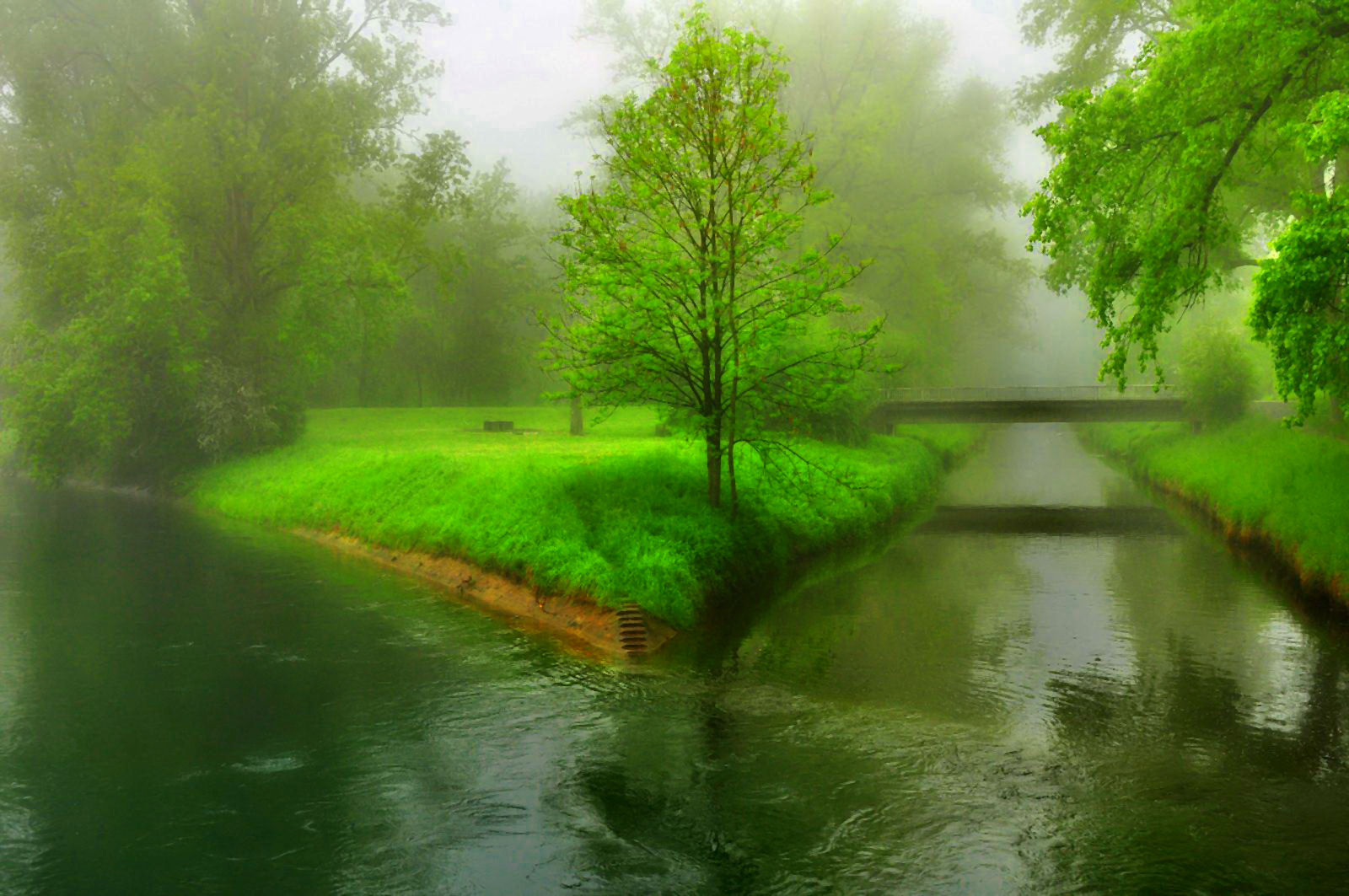 Free download wallpaper Grass, Rain, Tree, Earth, River on your PC desktop