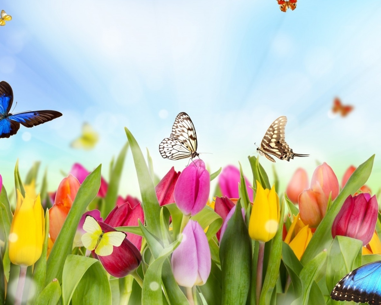 Download mobile wallpaper Flowers, Plants, Tulips, Butterflies for free.
