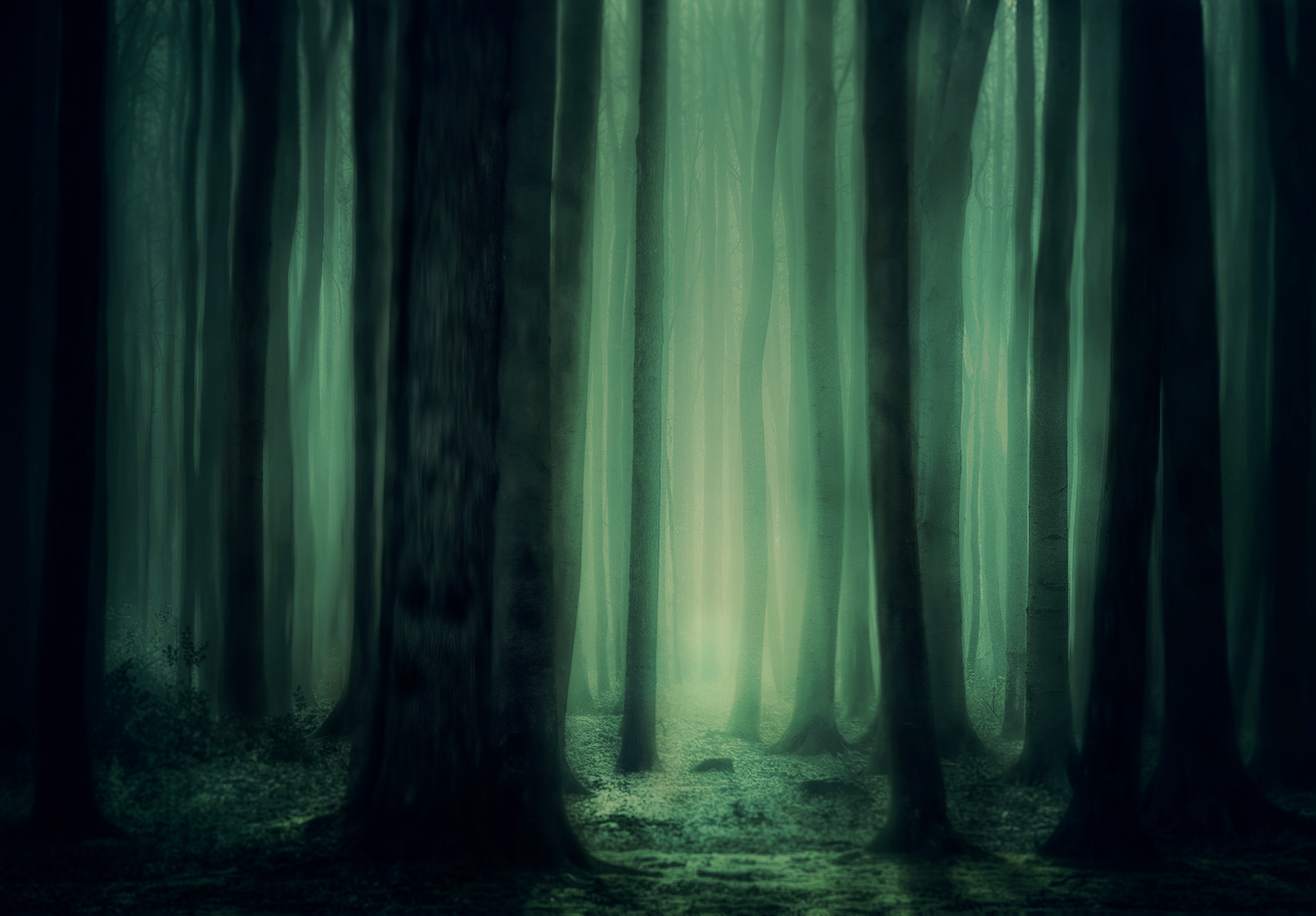 Download mobile wallpaper Fog, Forest, Trees, Gloomy, Nature, Dark for free.