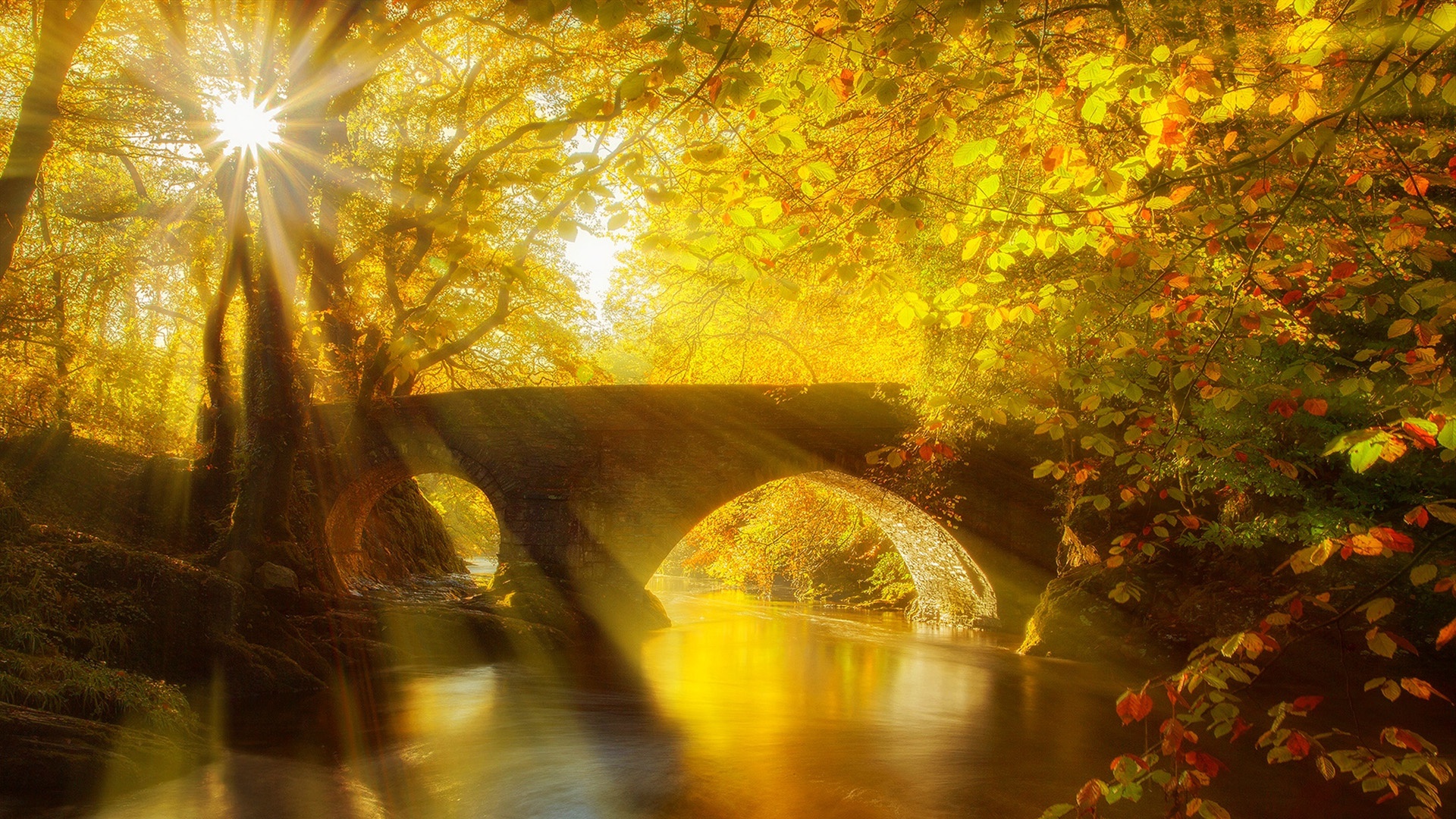 Handy-Wallpaper Herbst, Fluss, Brücke, Sonnenstrahl, Brücken, Menschengemacht kostenlos herunterladen.