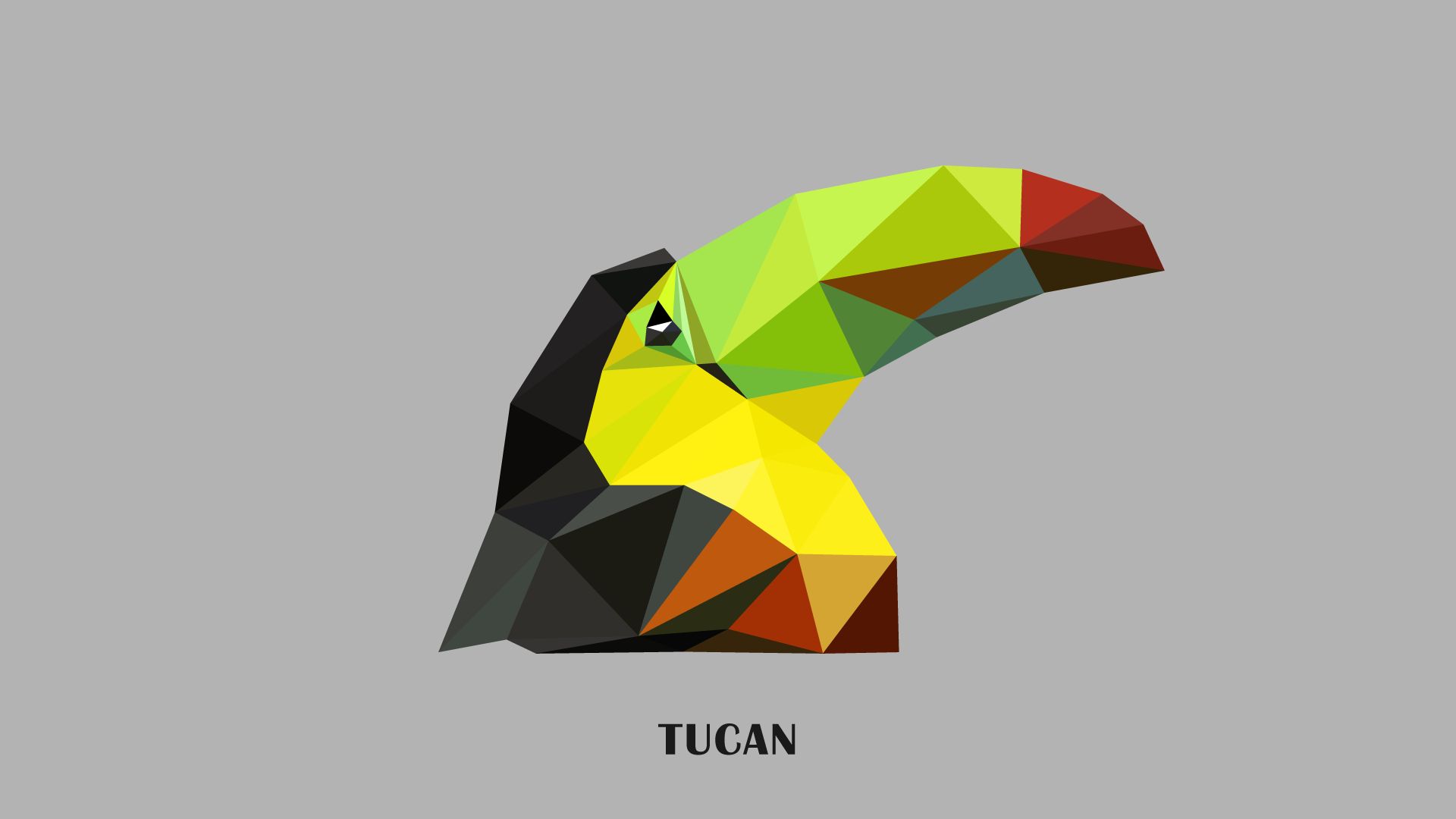 Free download wallpaper Birds, Bird, Animal, Toucan, Minimalist on your PC desktop