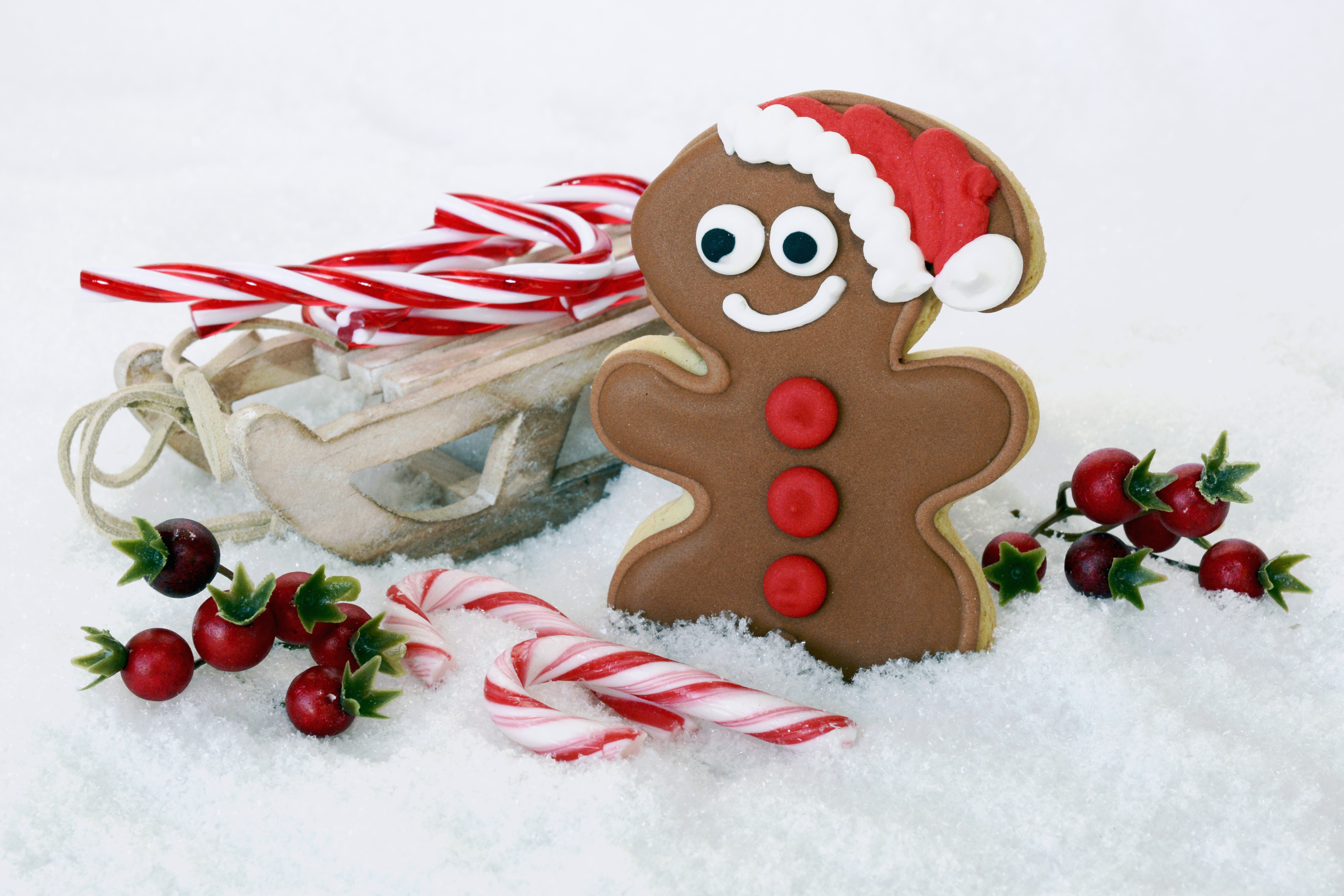 Download mobile wallpaper Christmas, Holiday, Sled, Gingerbread, Cookie, Candy Cane for free.