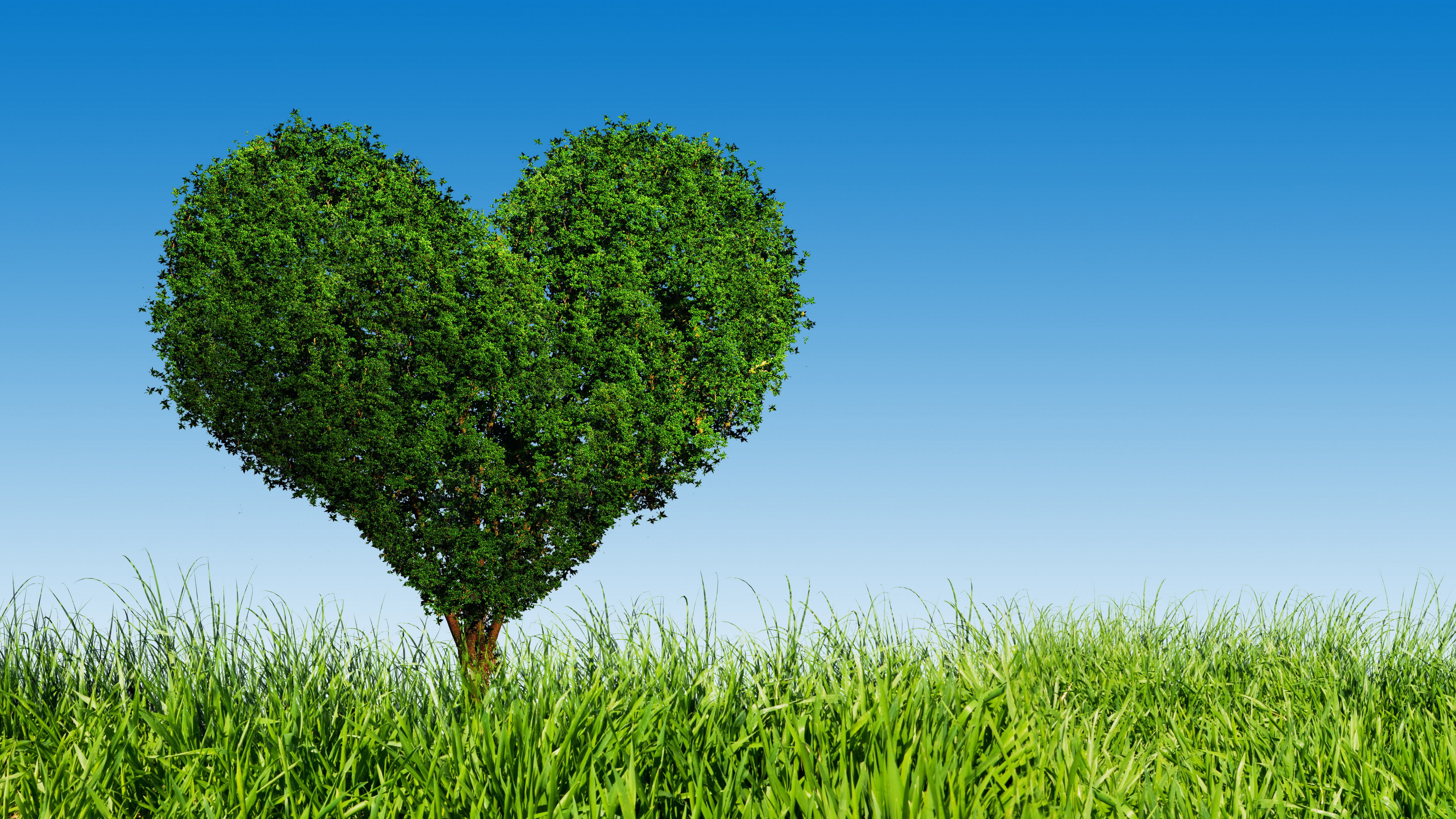 PCデスクトップに自然, 木, 草, 芸術的, 心臓画像を無料でダウンロード