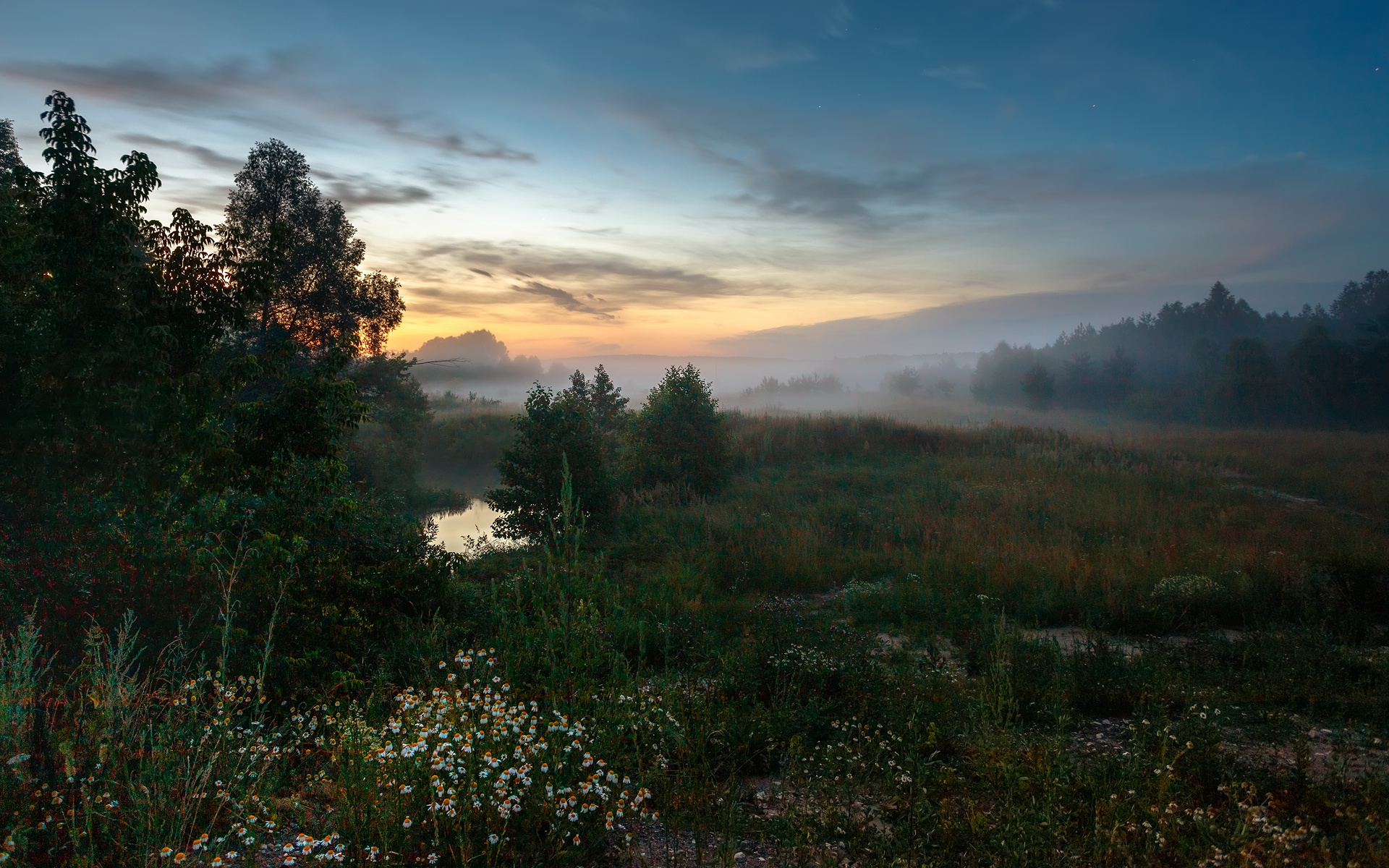 Laden Sie das Landschaft, Natur, Nebel, Abend, Wiese, Gras, Erde/natur-Bild kostenlos auf Ihren PC-Desktop herunter
