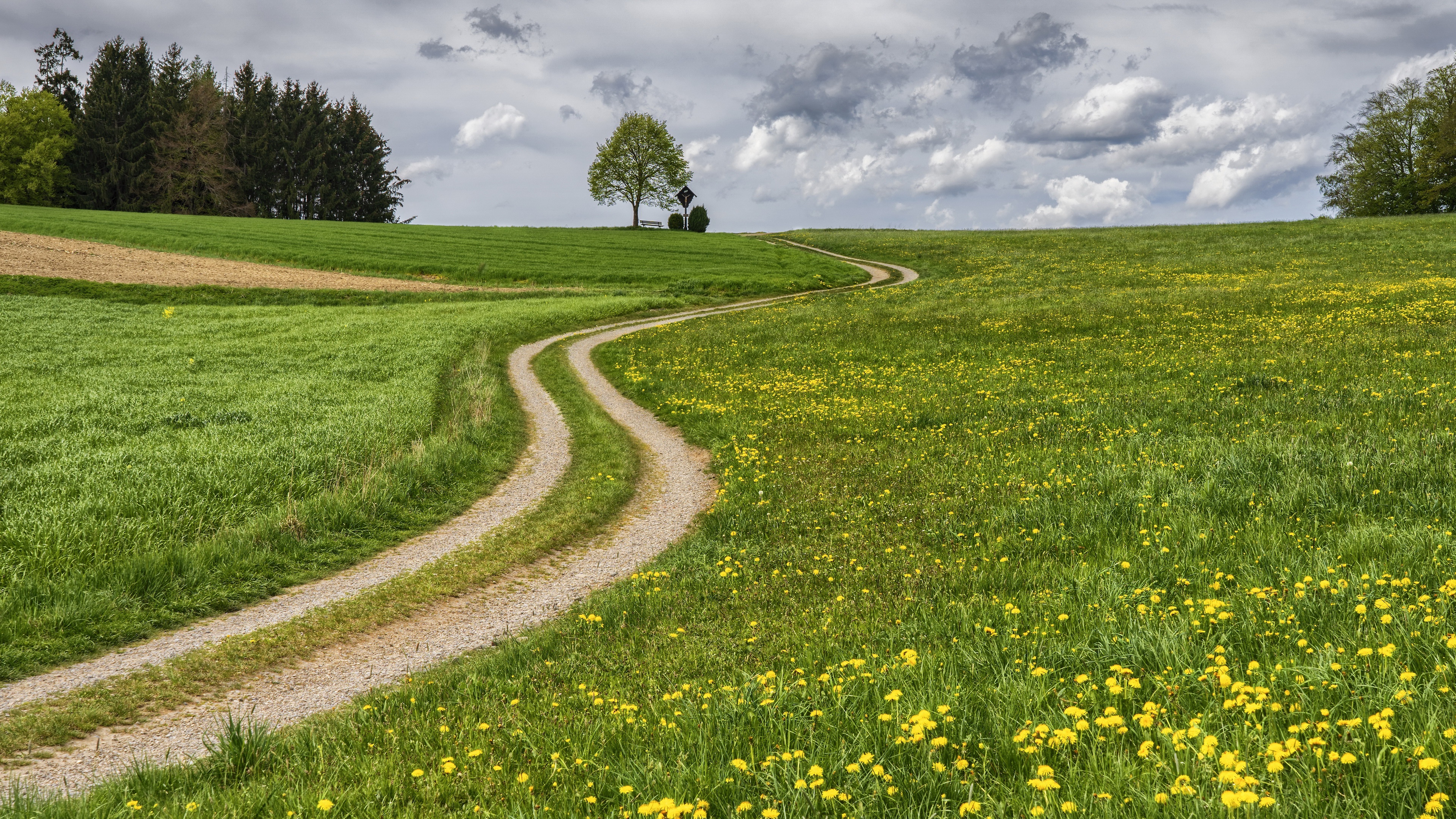 Download mobile wallpaper Grass, Summer, Flower, Road, Field, Path, Cloud, Man Made for free.