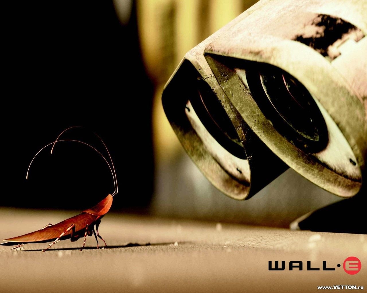 Descarga gratuita de fondo de pantalla para móvil de Insectos, Robots, Wall E, Dibujos Animados.