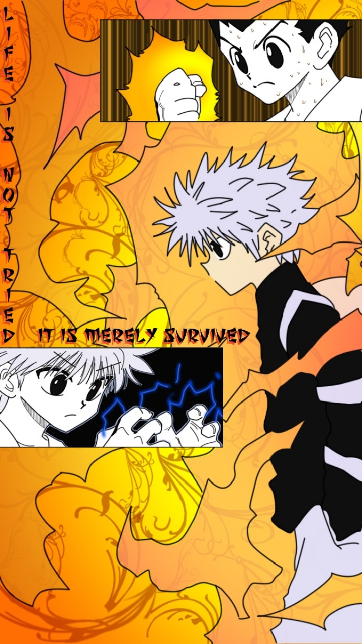 Handy-Wallpaper Animes, Hunter X Hunter kostenlos herunterladen.