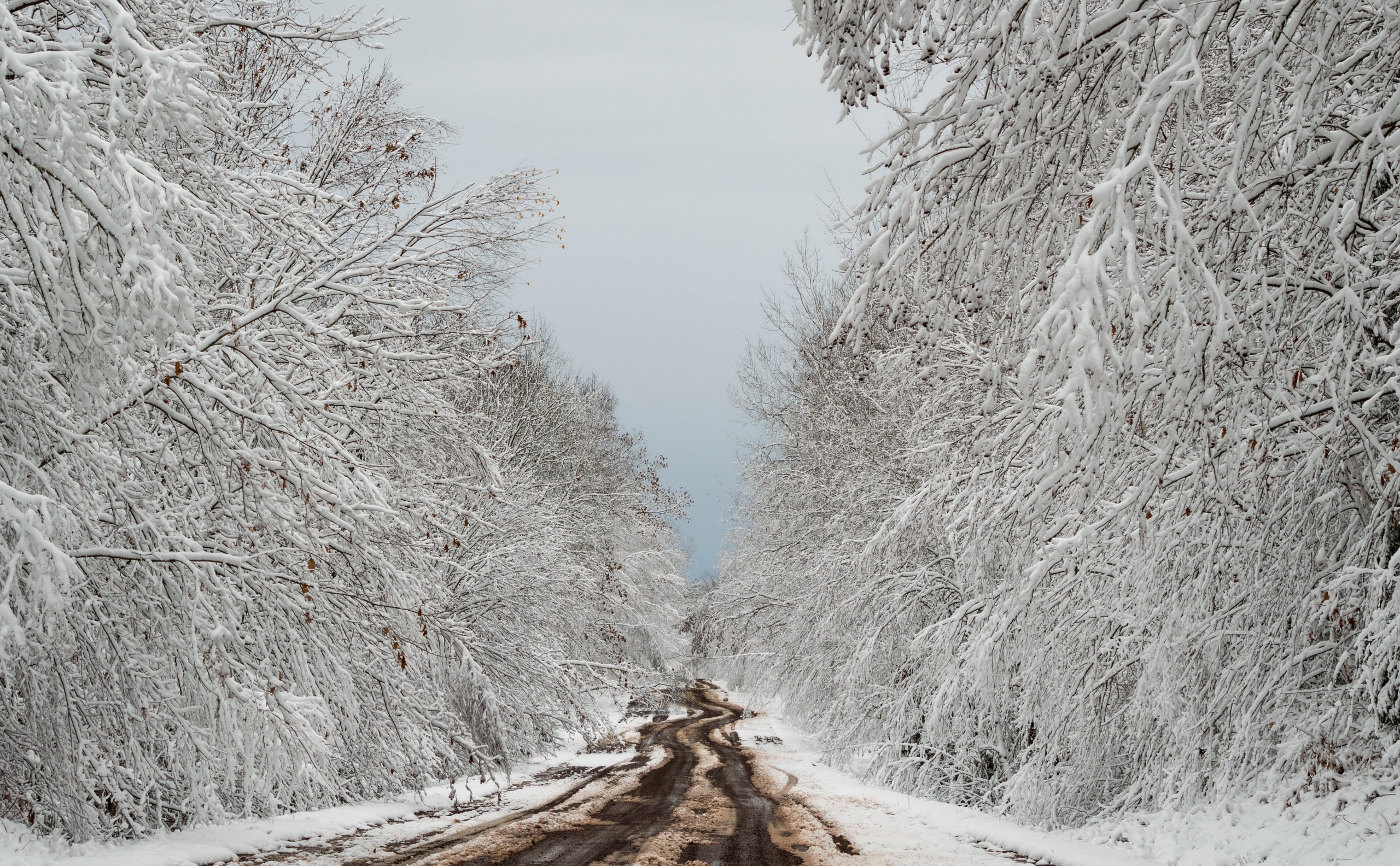 Handy-Wallpaper Winter, Natur, Schnee, Straße, Menschengemacht kostenlos herunterladen.