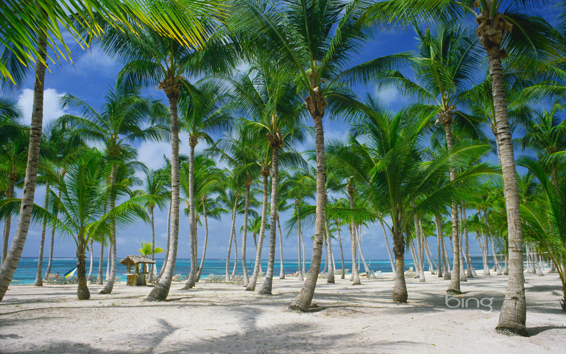 Laden Sie das Strand, Fotografie-Bild kostenlos auf Ihren PC-Desktop herunter