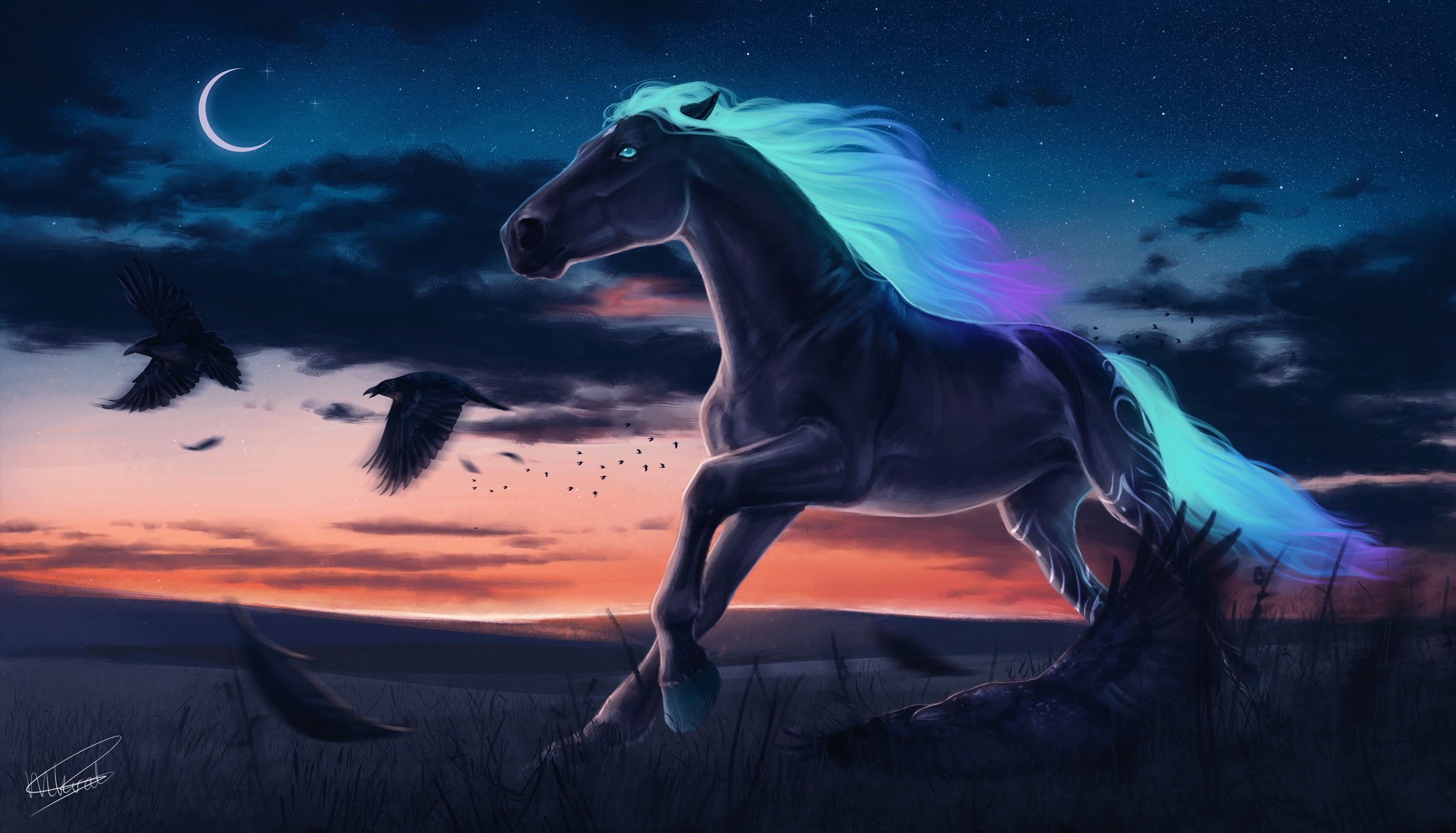 Free download wallpaper Fantasy, Night, Moon, Horse, Crow, Fantasy Animals on your PC desktop