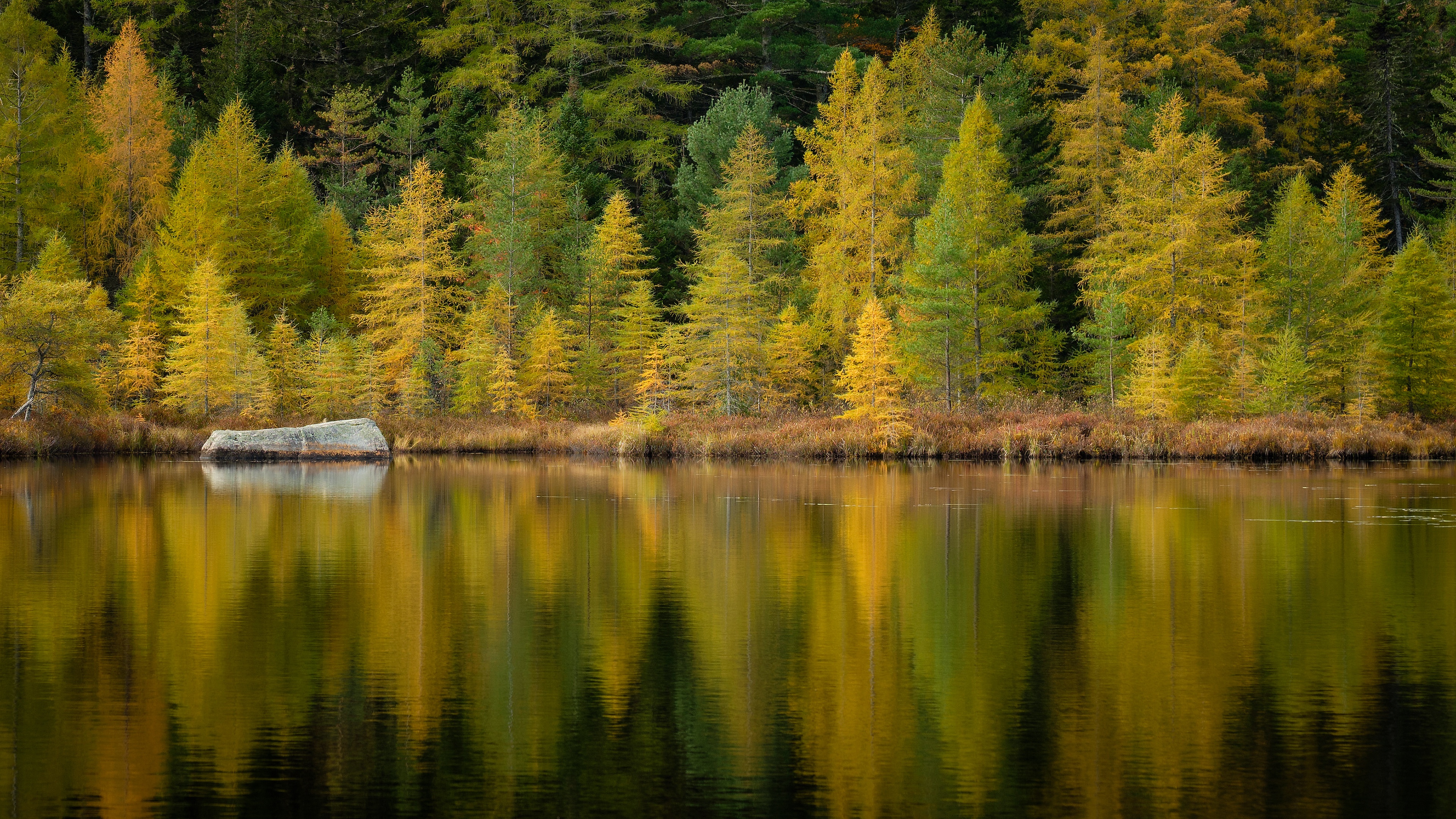 Скачать обои бесплатно Осень, Озера, Озеро, Отражение, Лес, Камень, Земля/природа картинка на рабочий стол ПК