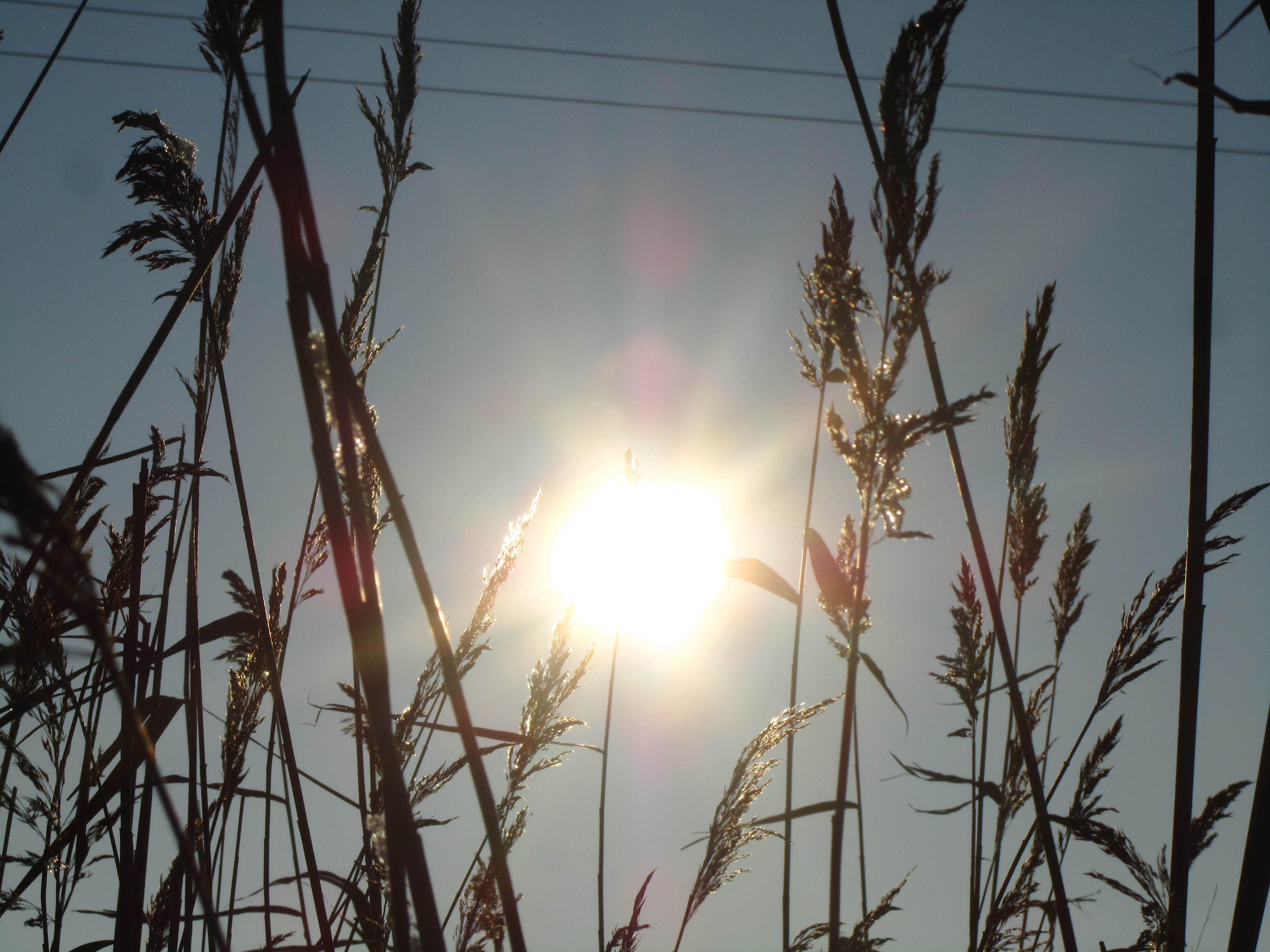 Handy-Wallpaper Sonnenstrahl, Erde/natur kostenlos herunterladen.