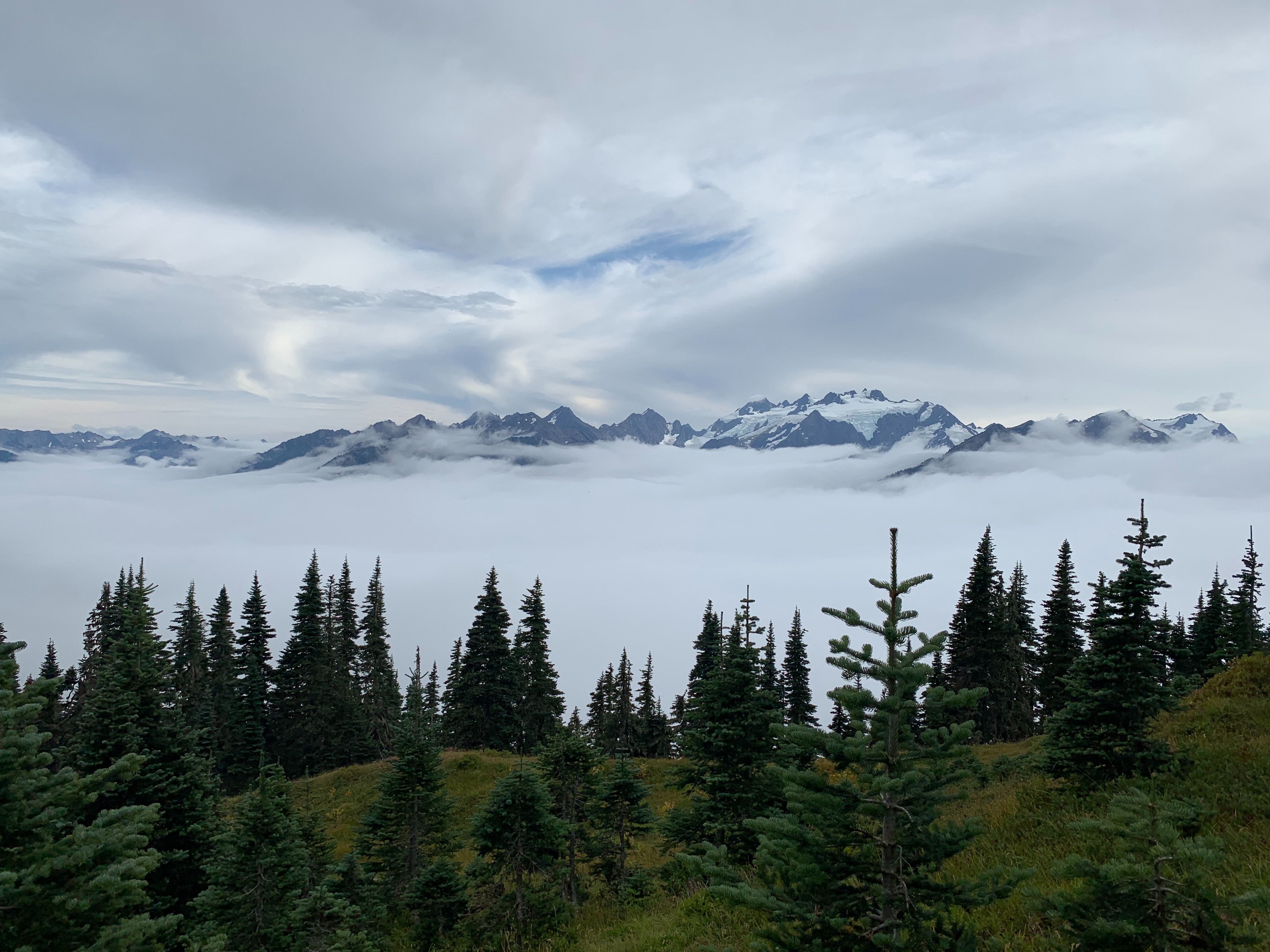 無料モバイル壁紙自然, 木, 霧, 山脈, 雲, 風景をダウンロードします。