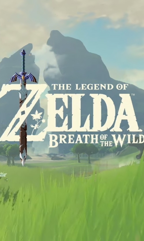 Descarga gratuita de fondo de pantalla para móvil de Videojuego, La Leyenda De Zelda, Zelda, The Legend Of Zelda, The Legend Of Zelda: Breath Of The Wild.