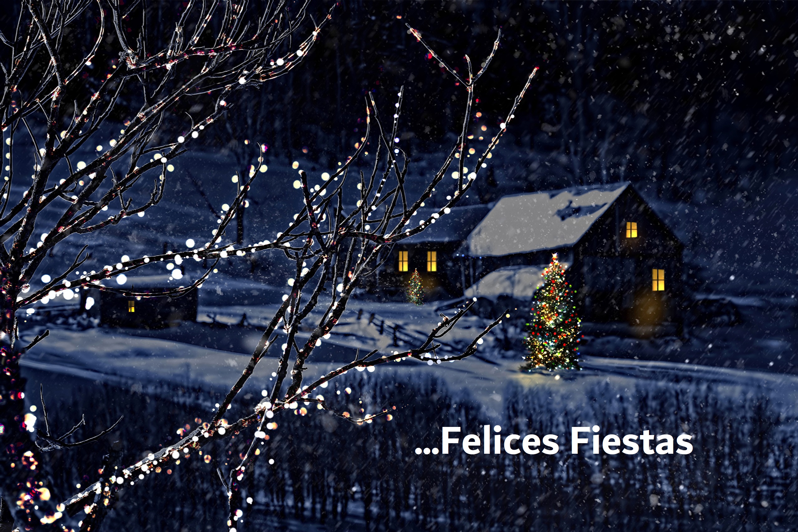Free download wallpaper Christmas, Holiday, Christmas Tree, Happy Holidays on your PC desktop